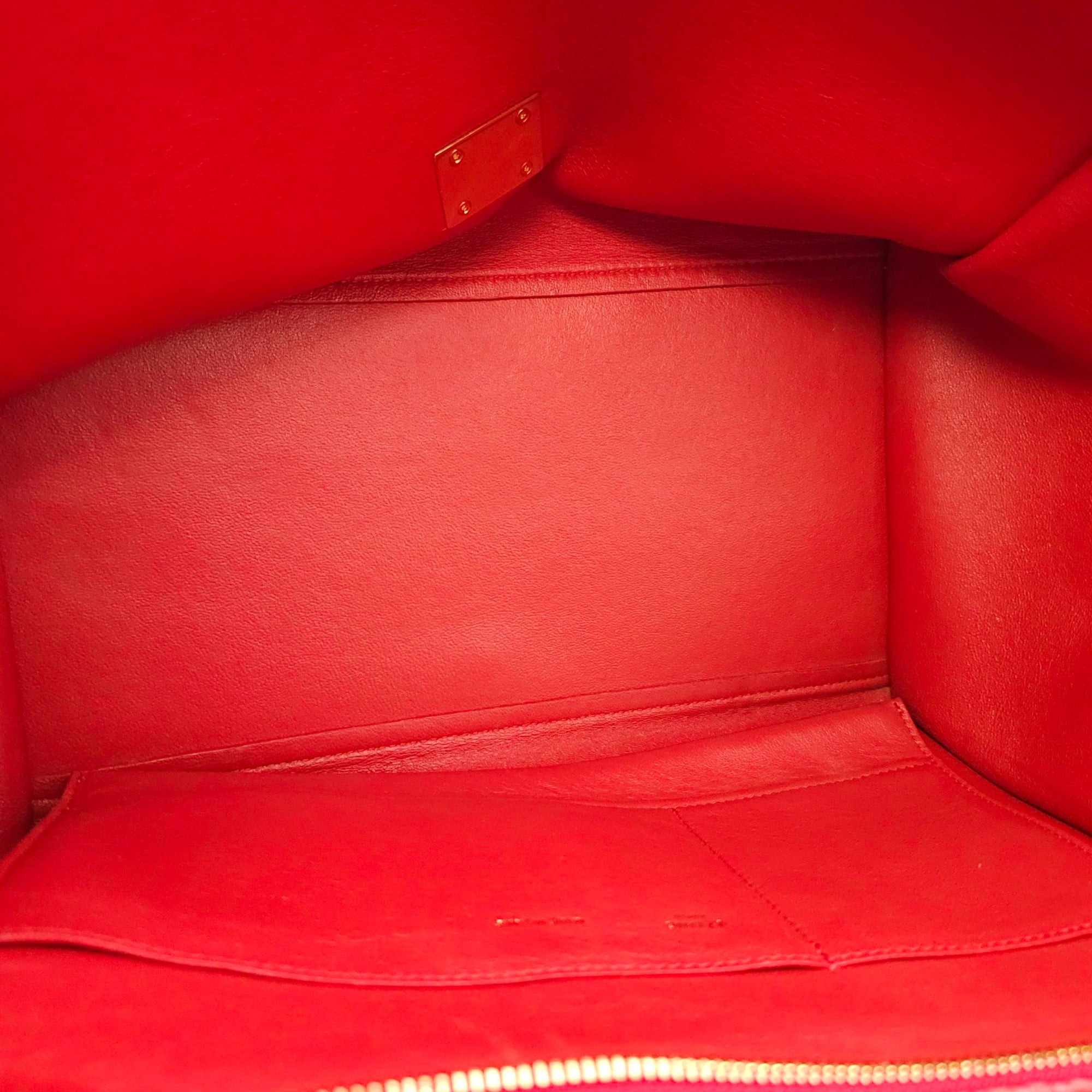 Trapeze Large Red Shoulder Bag in Python, Gold hardware