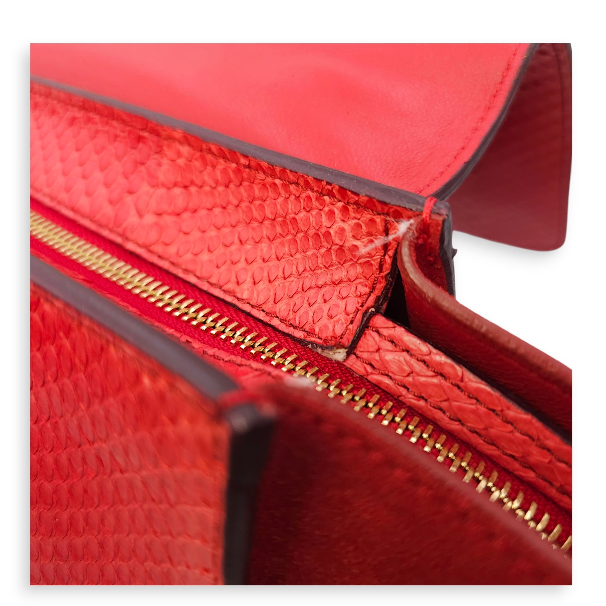 Trapeze Large Red Shoulder Bag in Python, Gold hardware