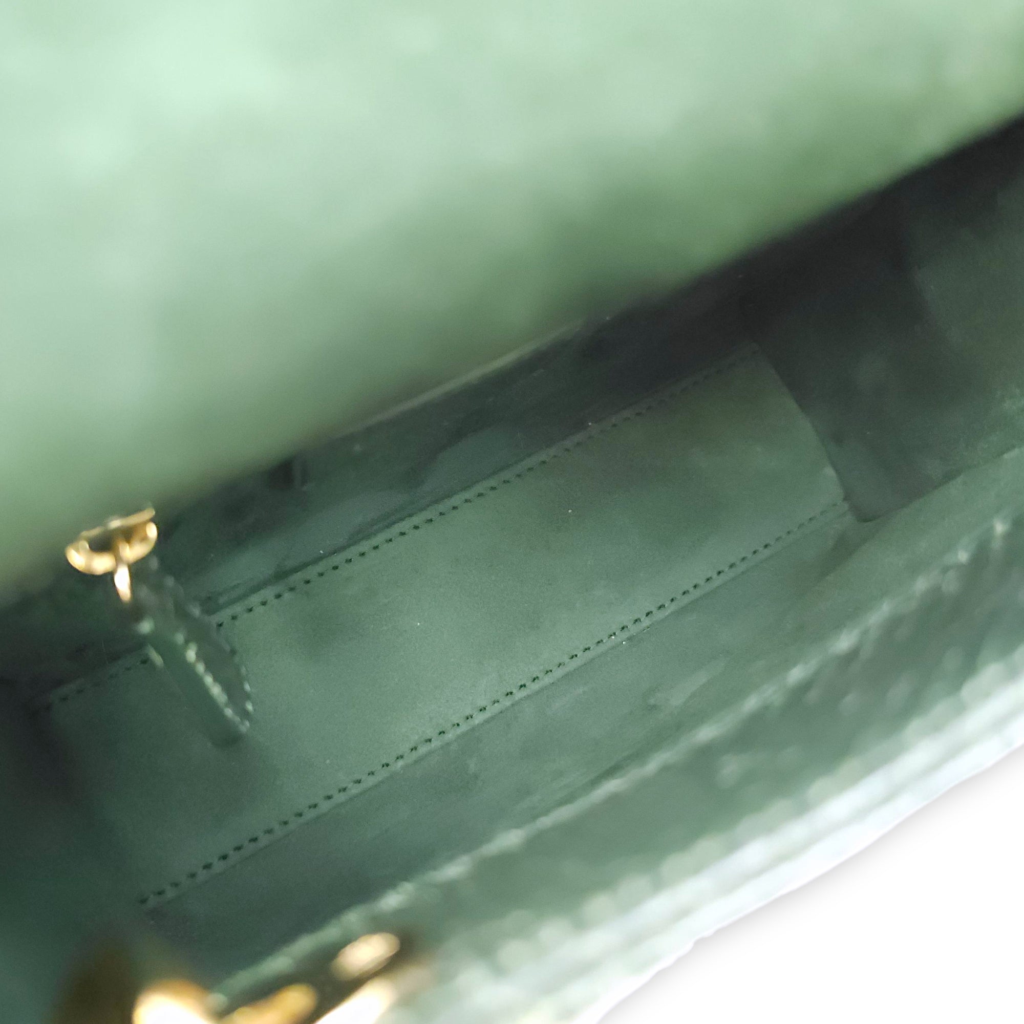 Lady Dior Mini Green Crossbody Bag in Python, Gold hardware