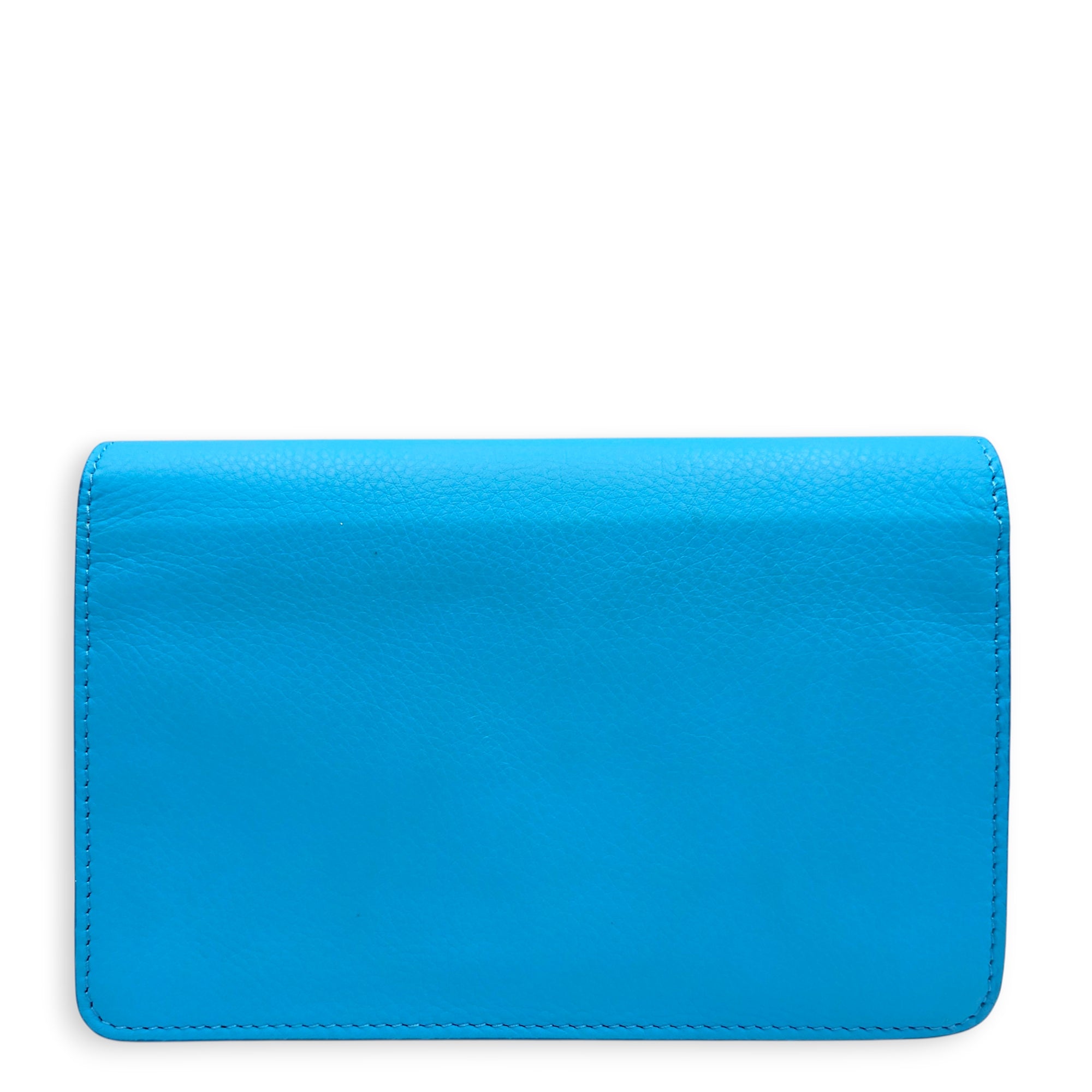 Tube Wallet on Chain Light Blue Shoulder Bag in Nappa Leather, Silver hardware
