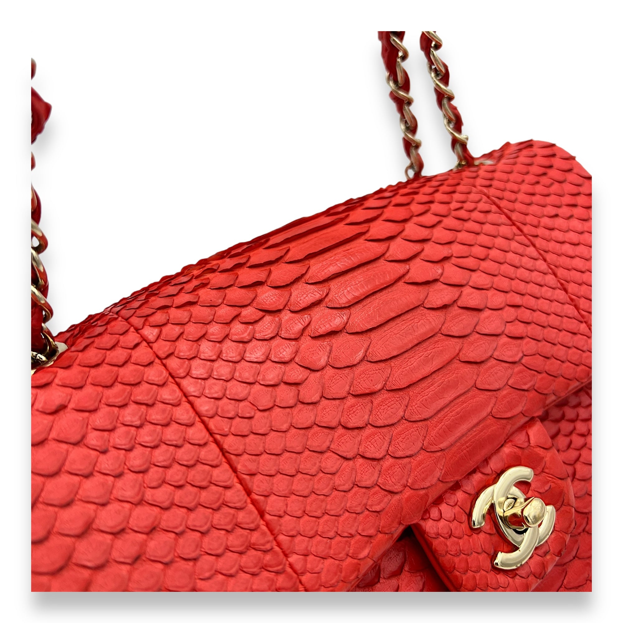 Classic Double Flap Medium Red Shoulder Bag in Python Leather, Gold hardware