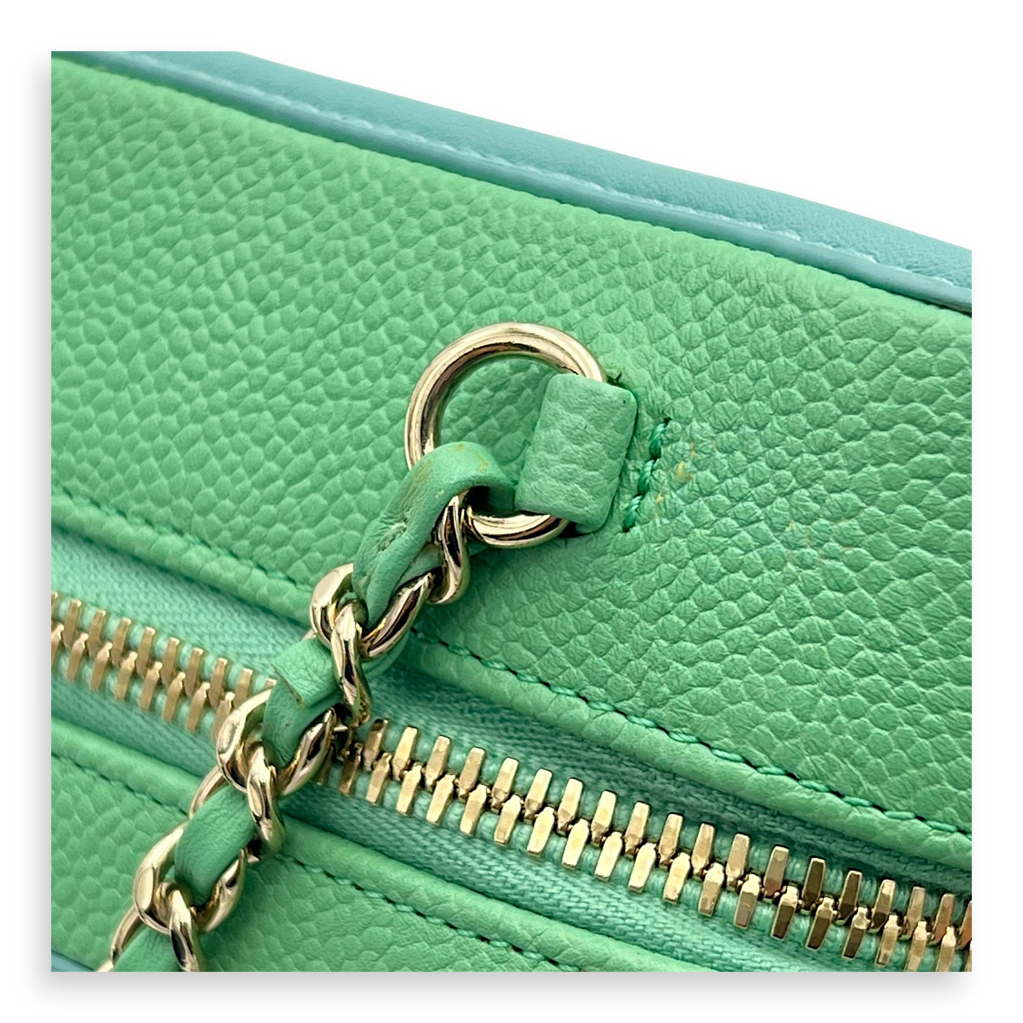 Filigree Small Multi-colour Vanity Bag in Caviar Leather, Gold hardware