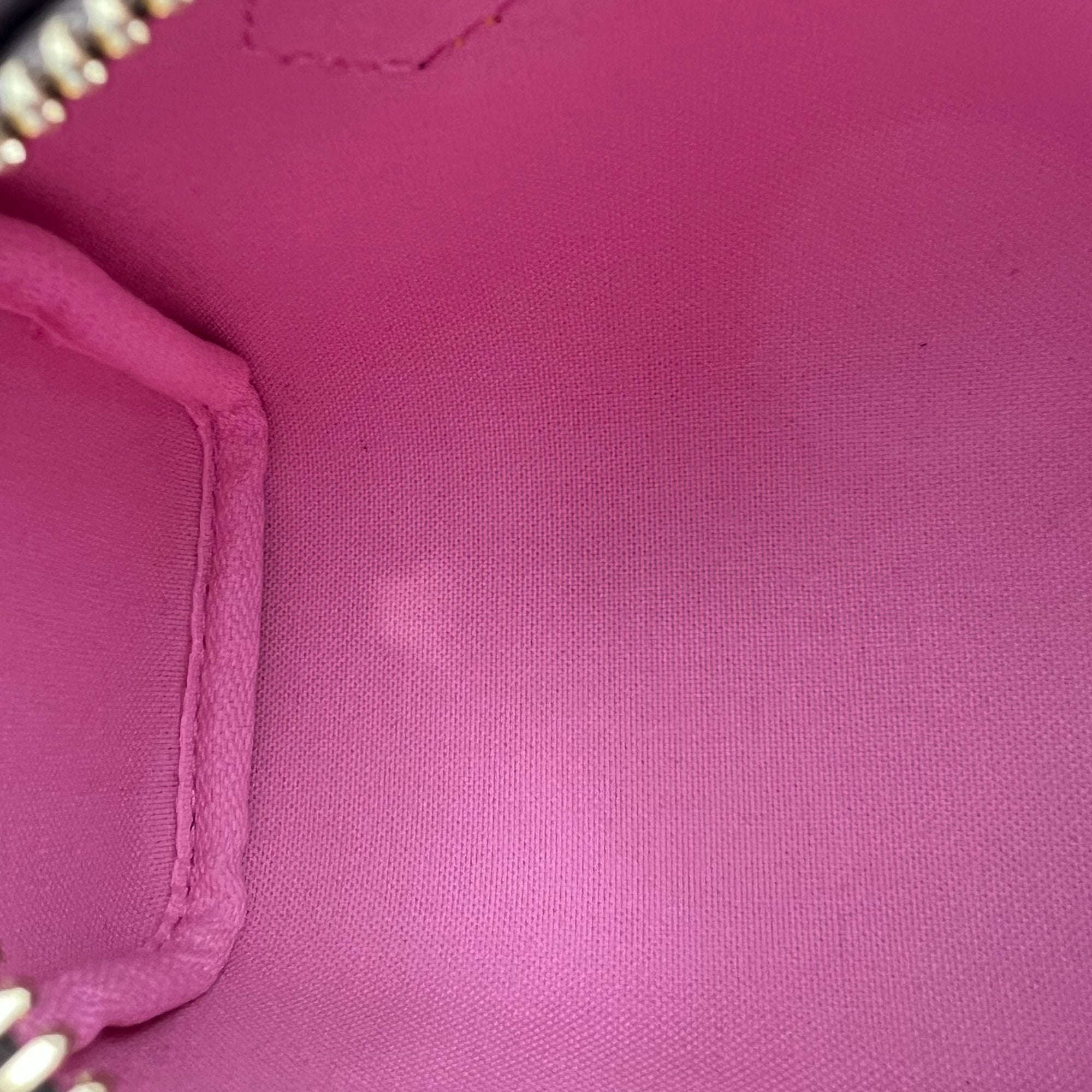 Speedy Nano Vivienne Top Handle Bag in Monogram Coated Canvas, Gold hardware