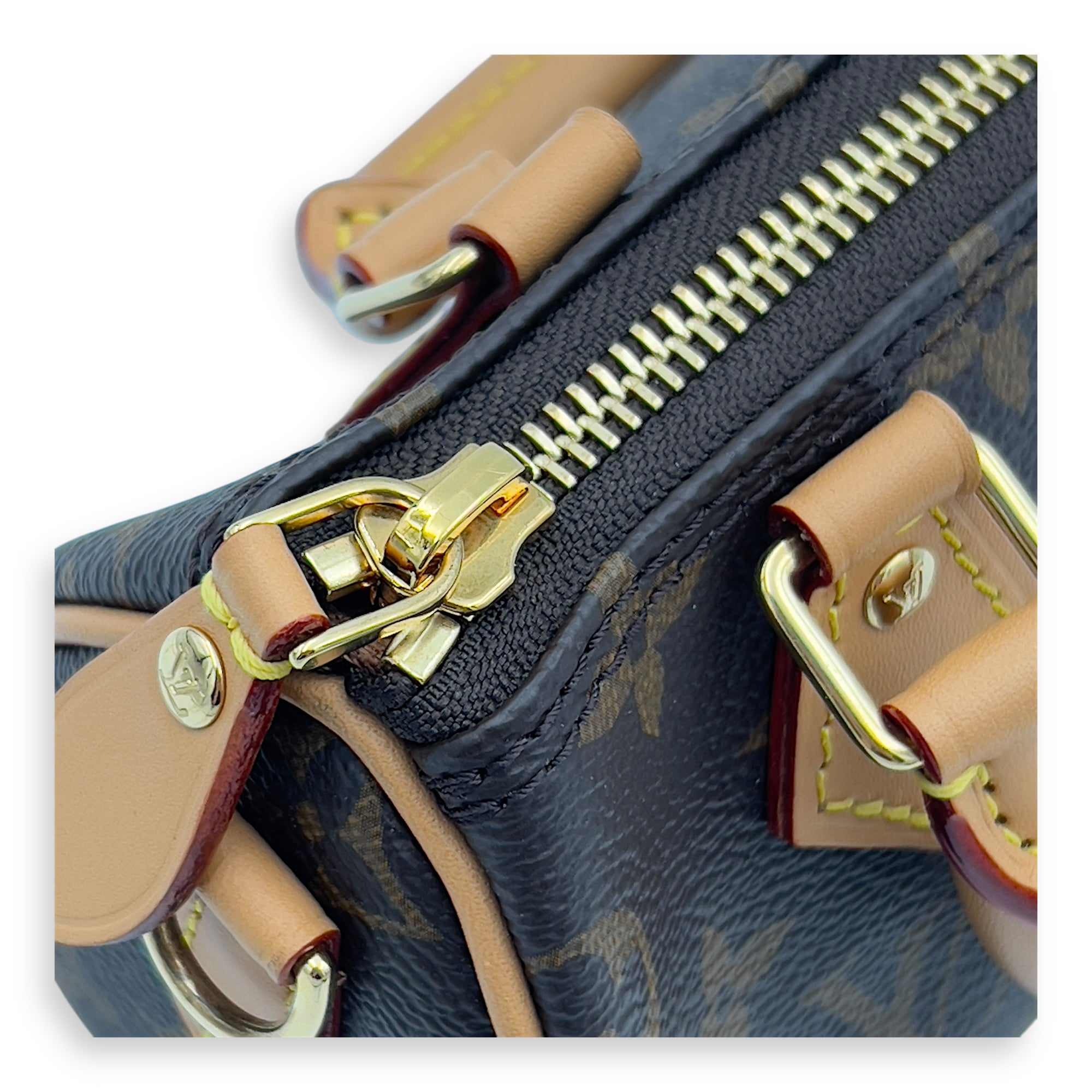 Speedy Top Handle Bag Nano Brown in Monogram Coated Canvas, Gold hardware
