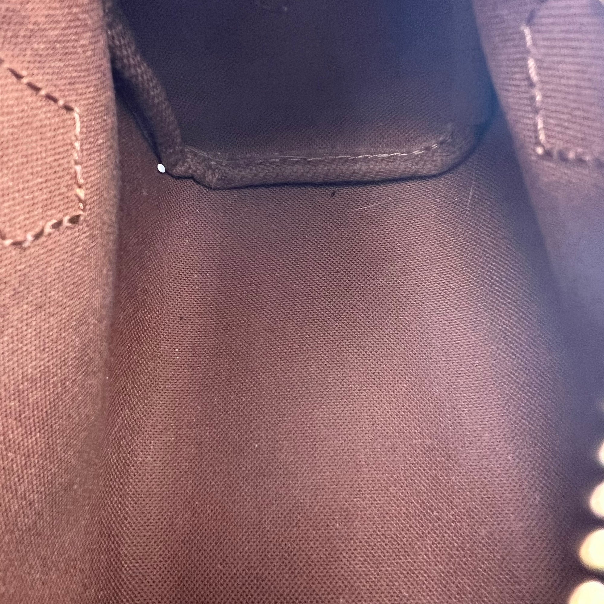 Speedy Top Handle Bag Nano Brown in Monogram Coated Canvas, Gold hardware