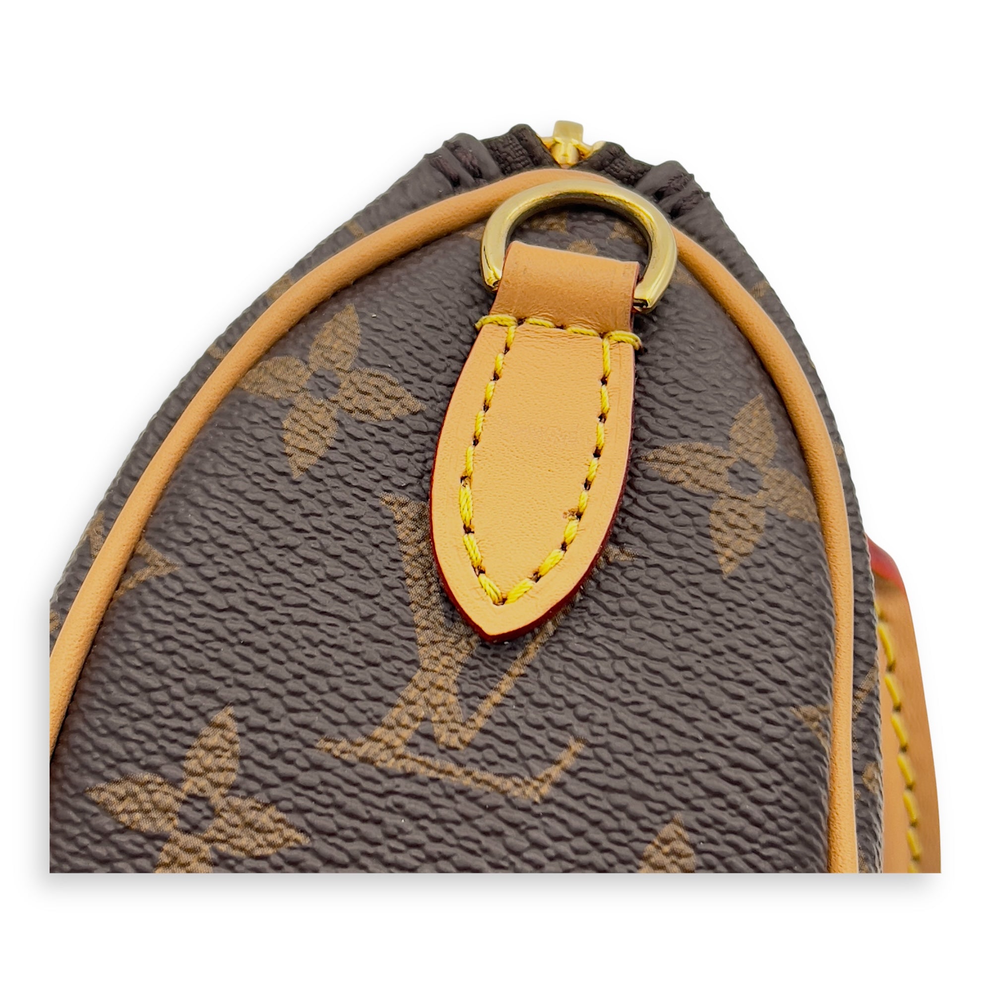Speedy Top Handle Bag Nano Brown in Monogram Coated Canvas, Gold hardware