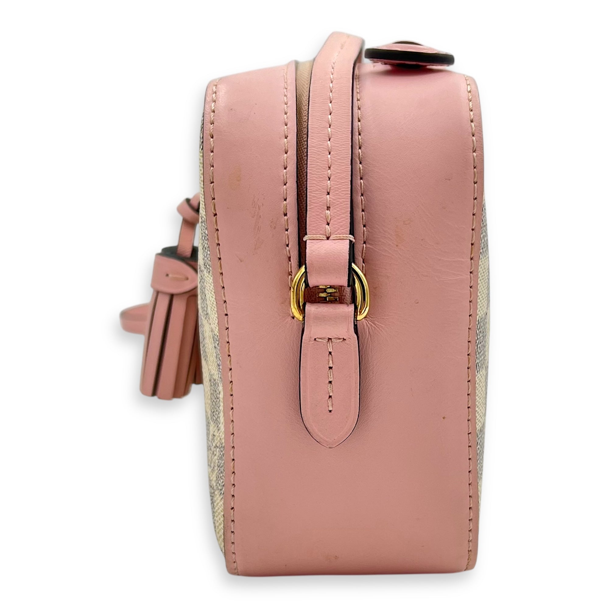Saintonge Crossbody Bag Azur in Coated Canvas, Gold hardware