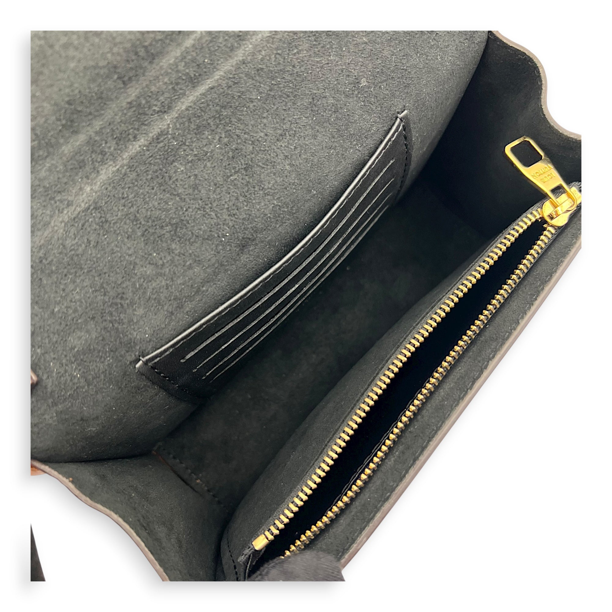 Dauphine Wallet On Chain Brown in Monogram Coated Canvas, Gold hardware