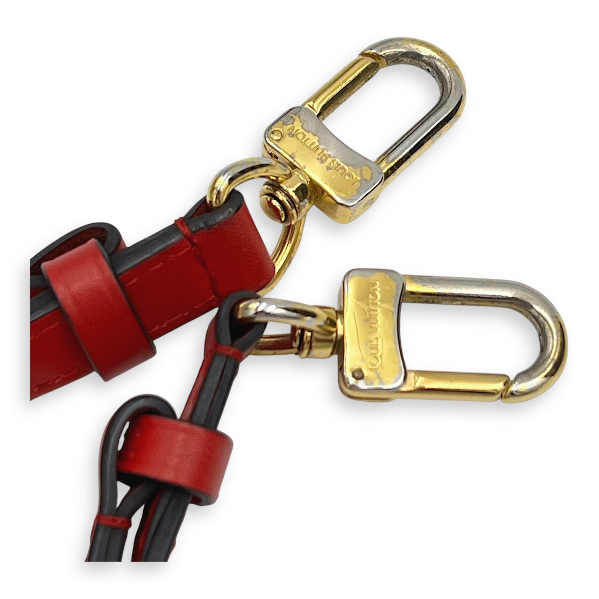 NeoNoe MM Brown Bucket Bag in Monogram Coated Canvas, Gold hardware