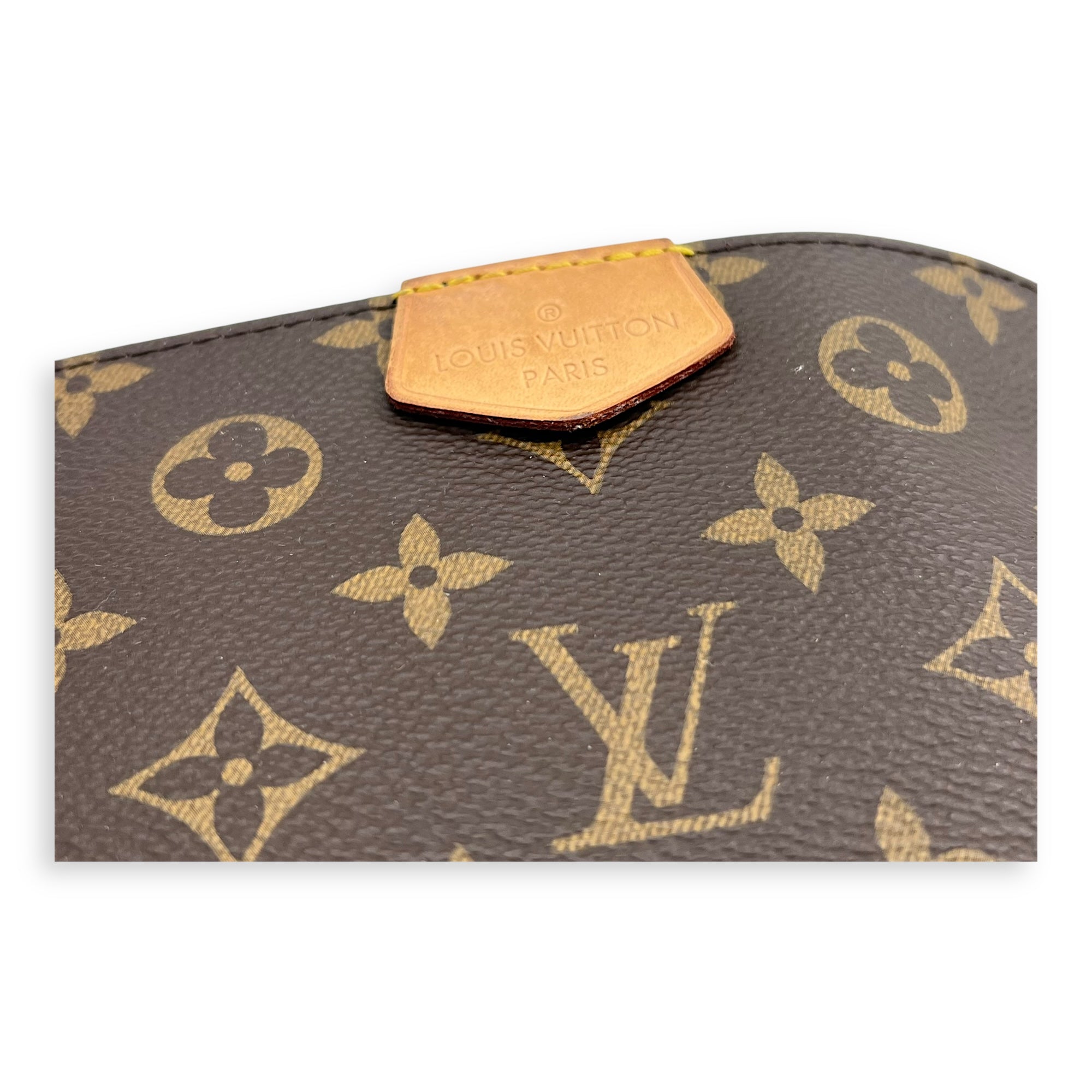 Multi-Pochette Accessoires Crossbody Bag Brown in Monogram Coated Canvas, Gold hardware