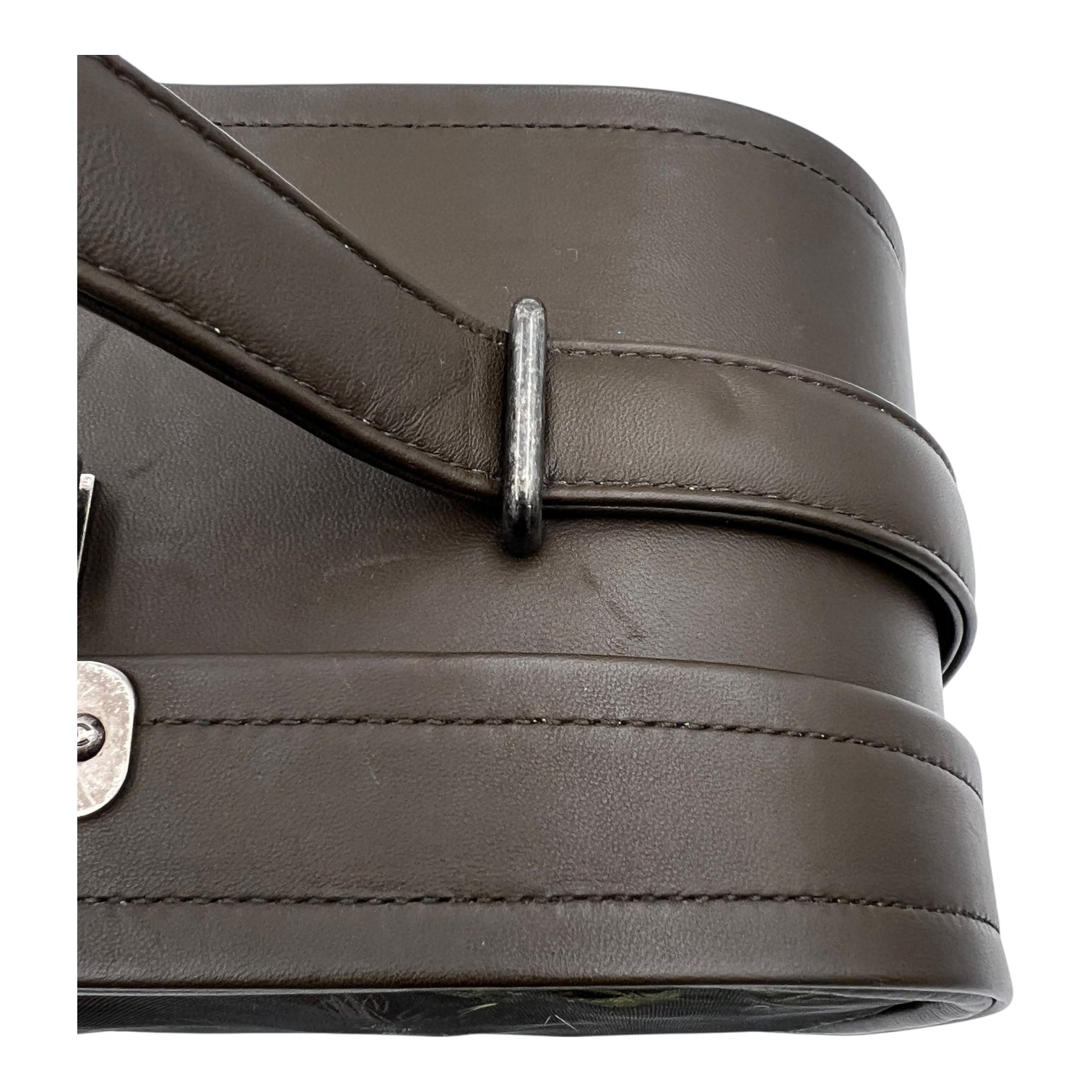 2015 FW Paris-Salzburg Embroidered Vanity Case Brown in Lambskin, Ruthenium hardware