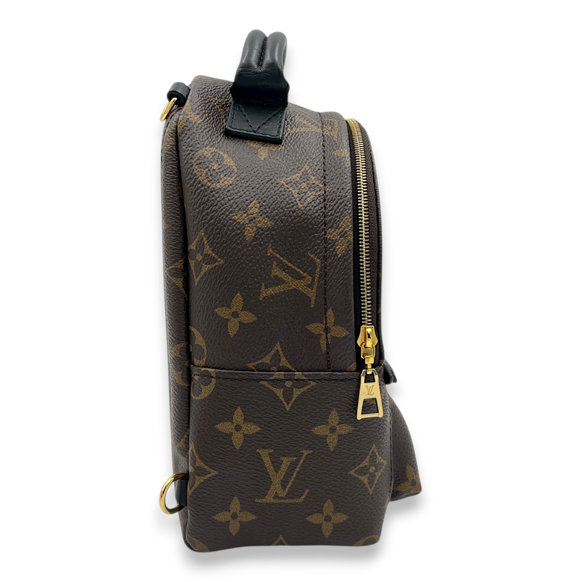 Palm Springs Backpack Mini Brown in Monogram Coated Canvas, Gold hardware