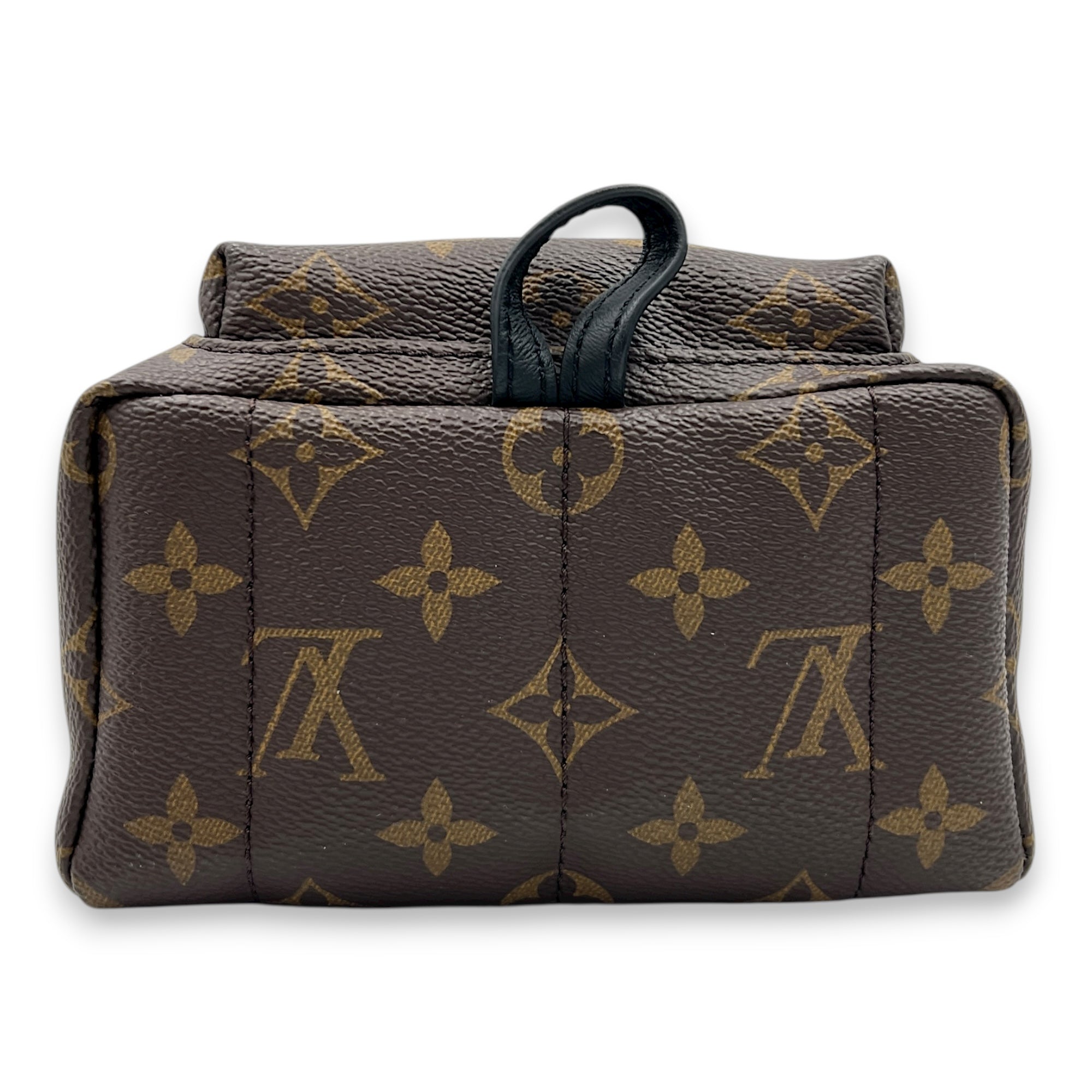 Palm Springs Backpack Mini Brown in Monogram Coated Canvas, Gold hardware