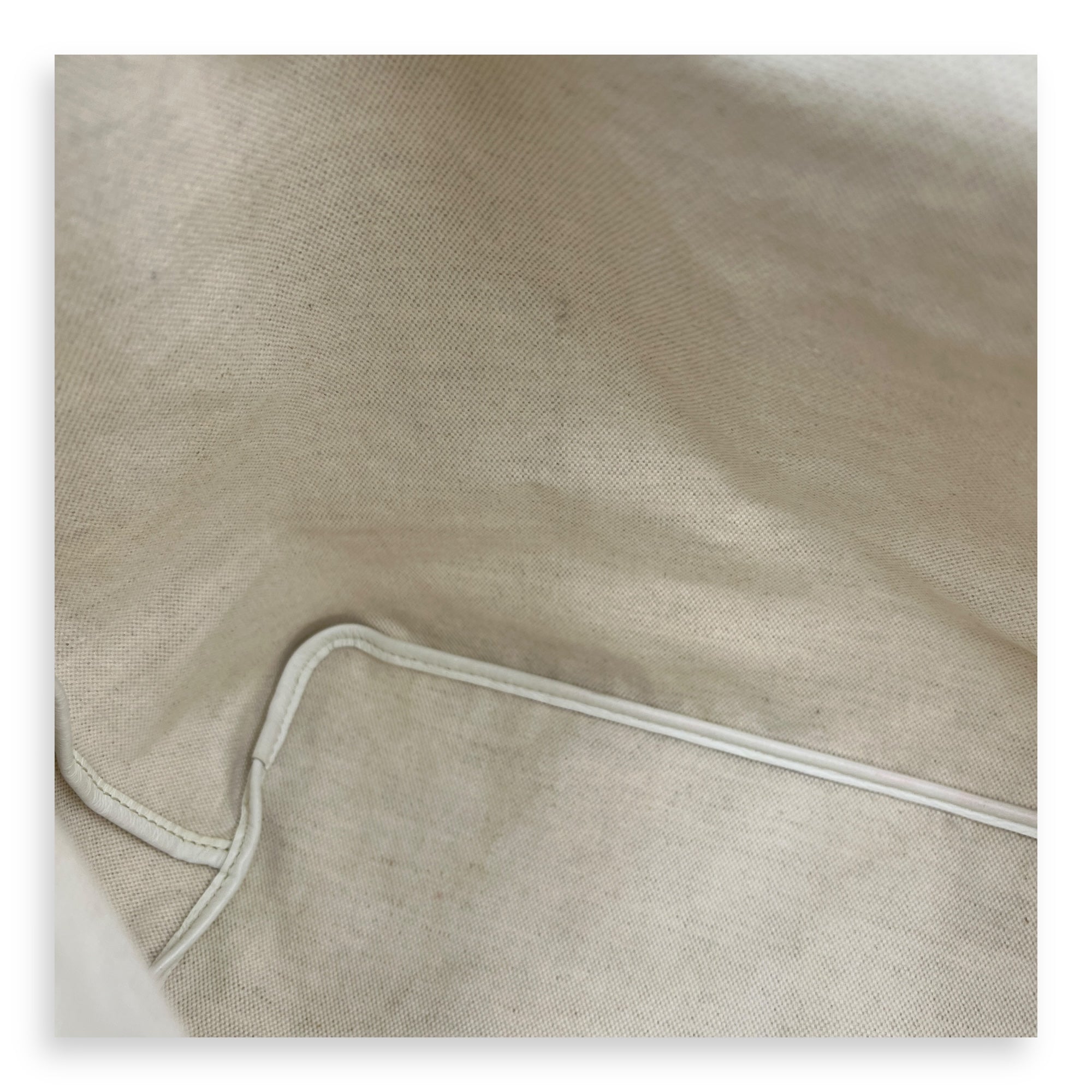 Saint Louis Tote Bag PM White in Coated Canvas, Silver hardware