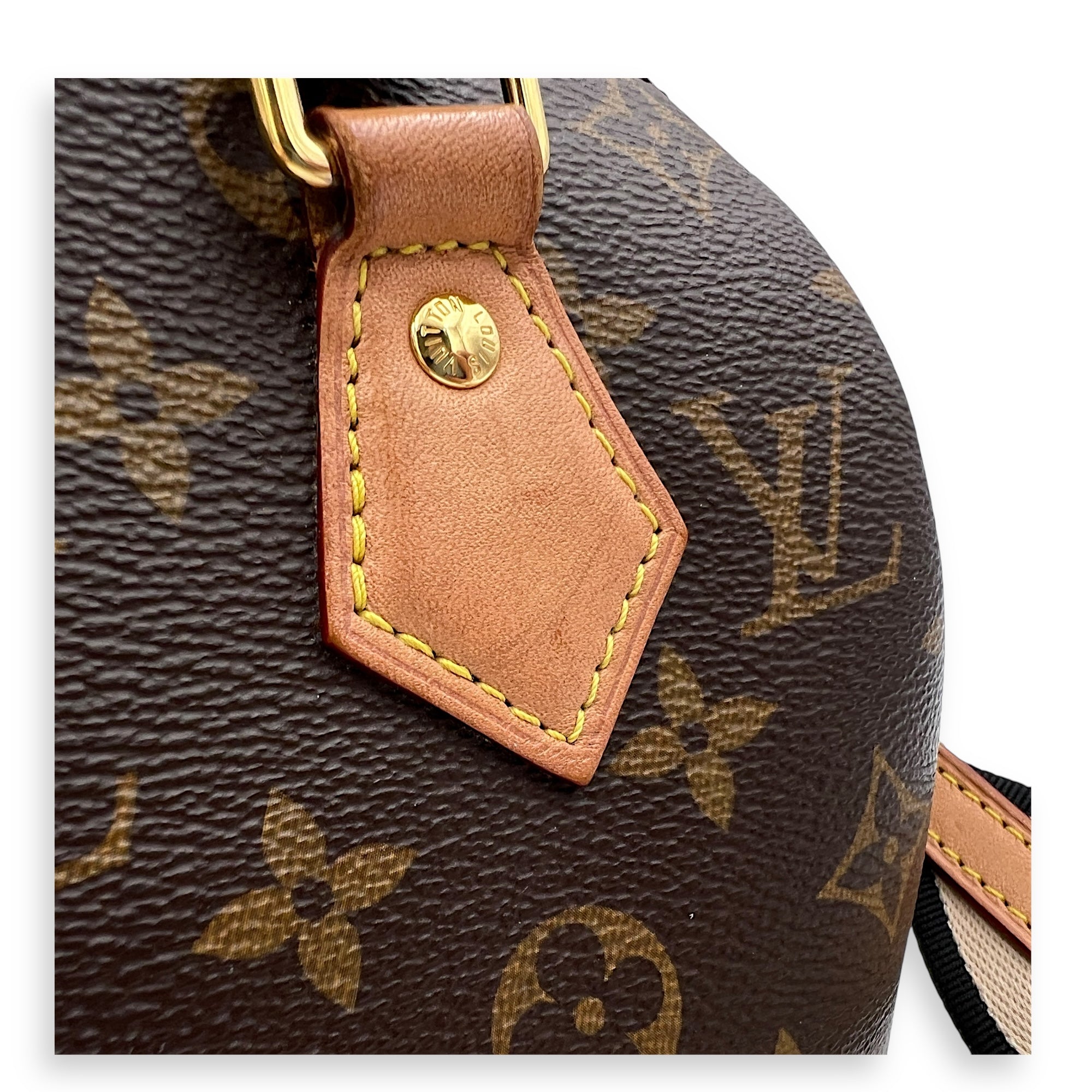 Speedy Bandouliere Top Handle Bag 20 Brown in Monogram Coated Canvas, Gold hardware