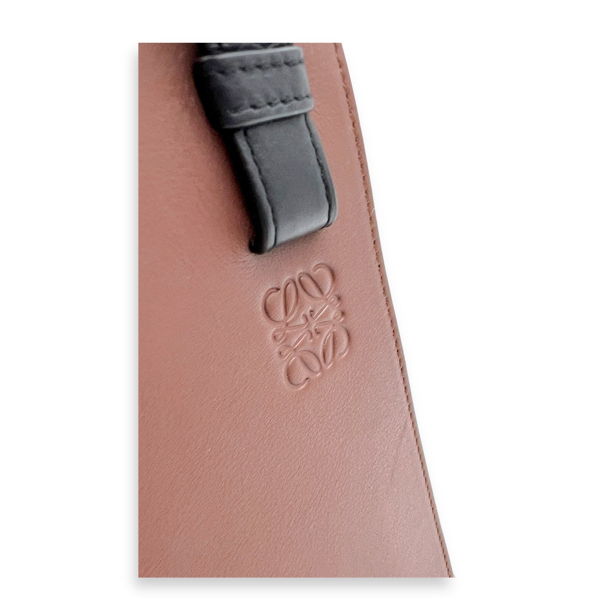 Hammock Crossbody Bag Multi-colour in Calfskin, Silver hardware