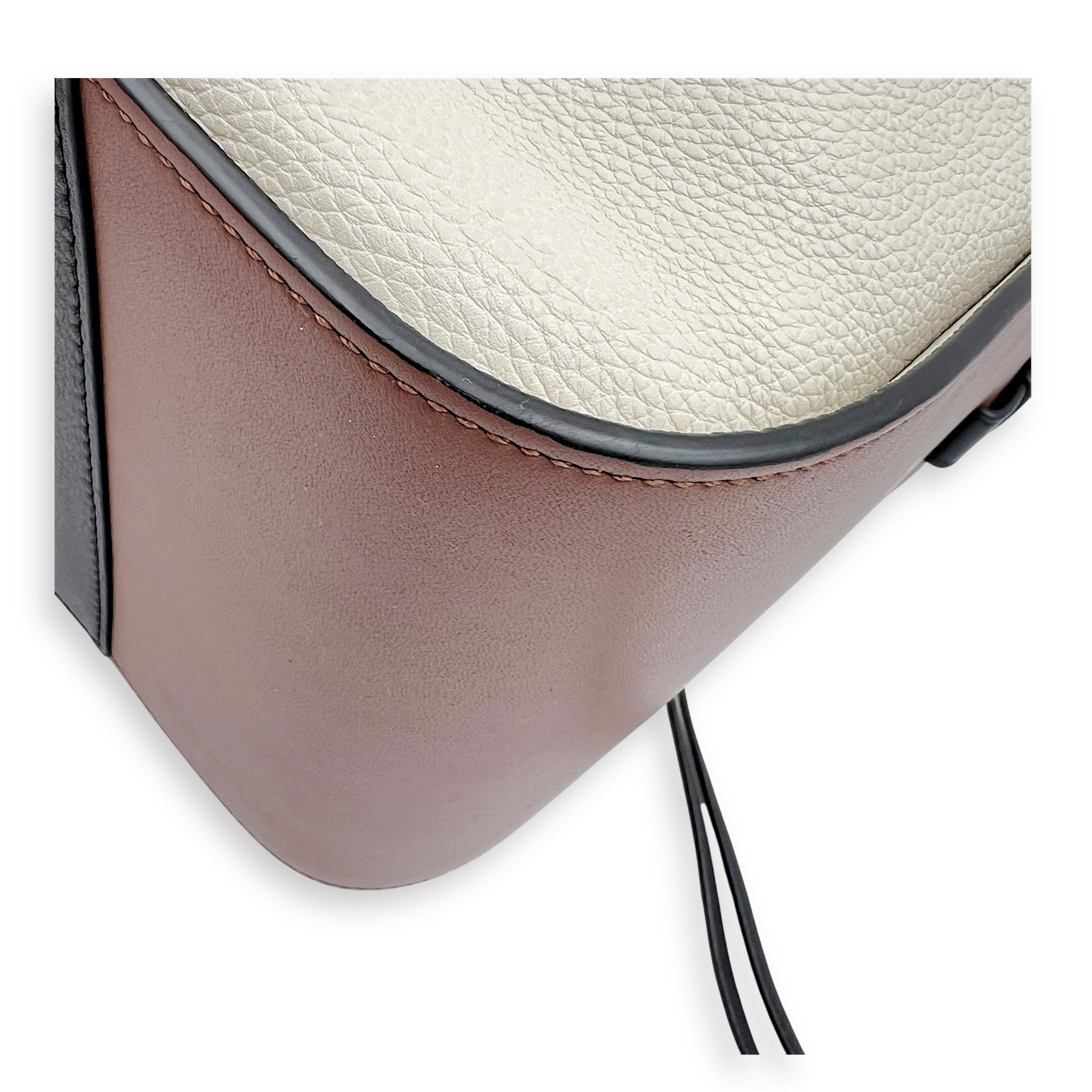 Hammock Crossbody Bag Multi-colour in Calfskin, Silver hardware