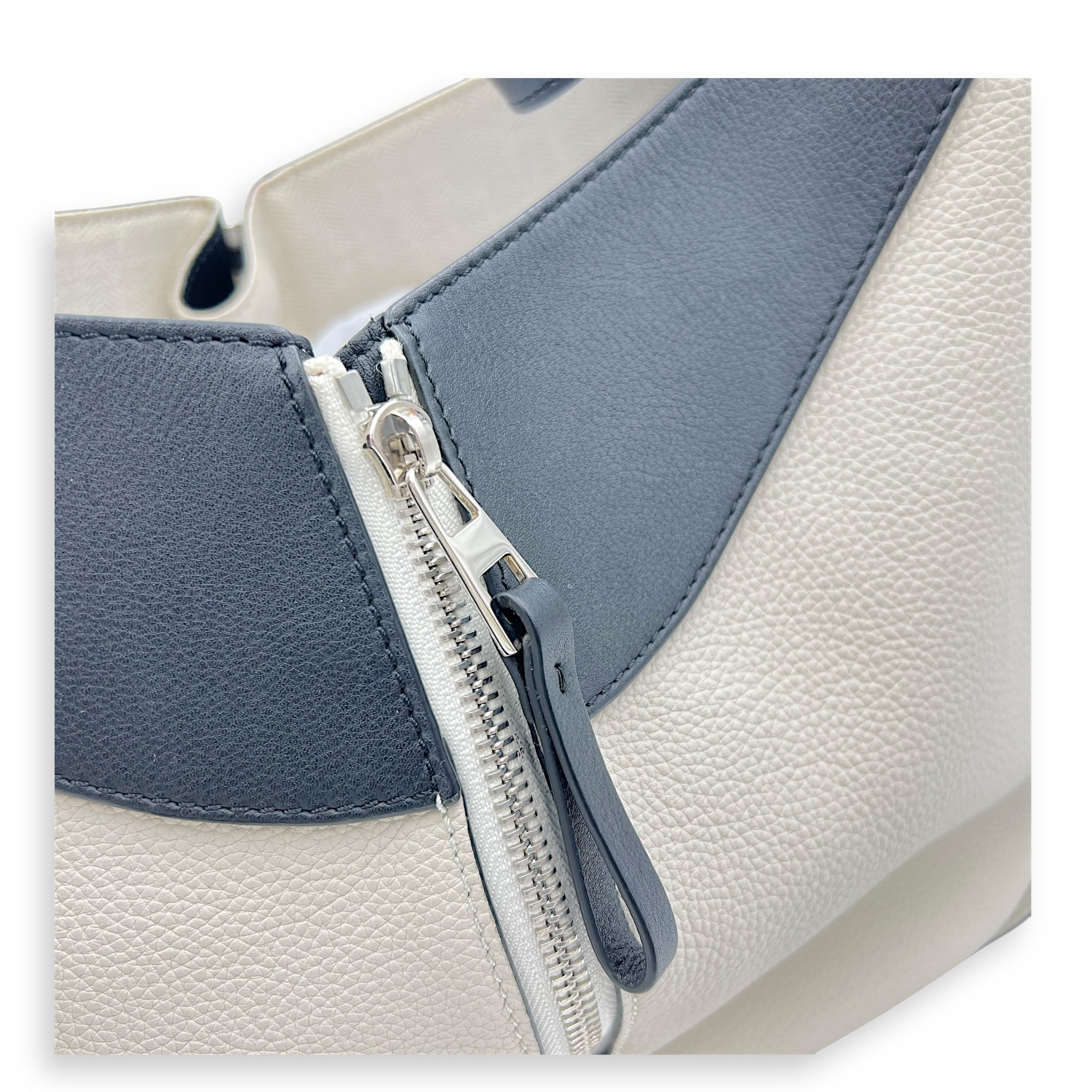 Hammock Crossbody Bag Multi-colour in Calfskin, Silver hardware