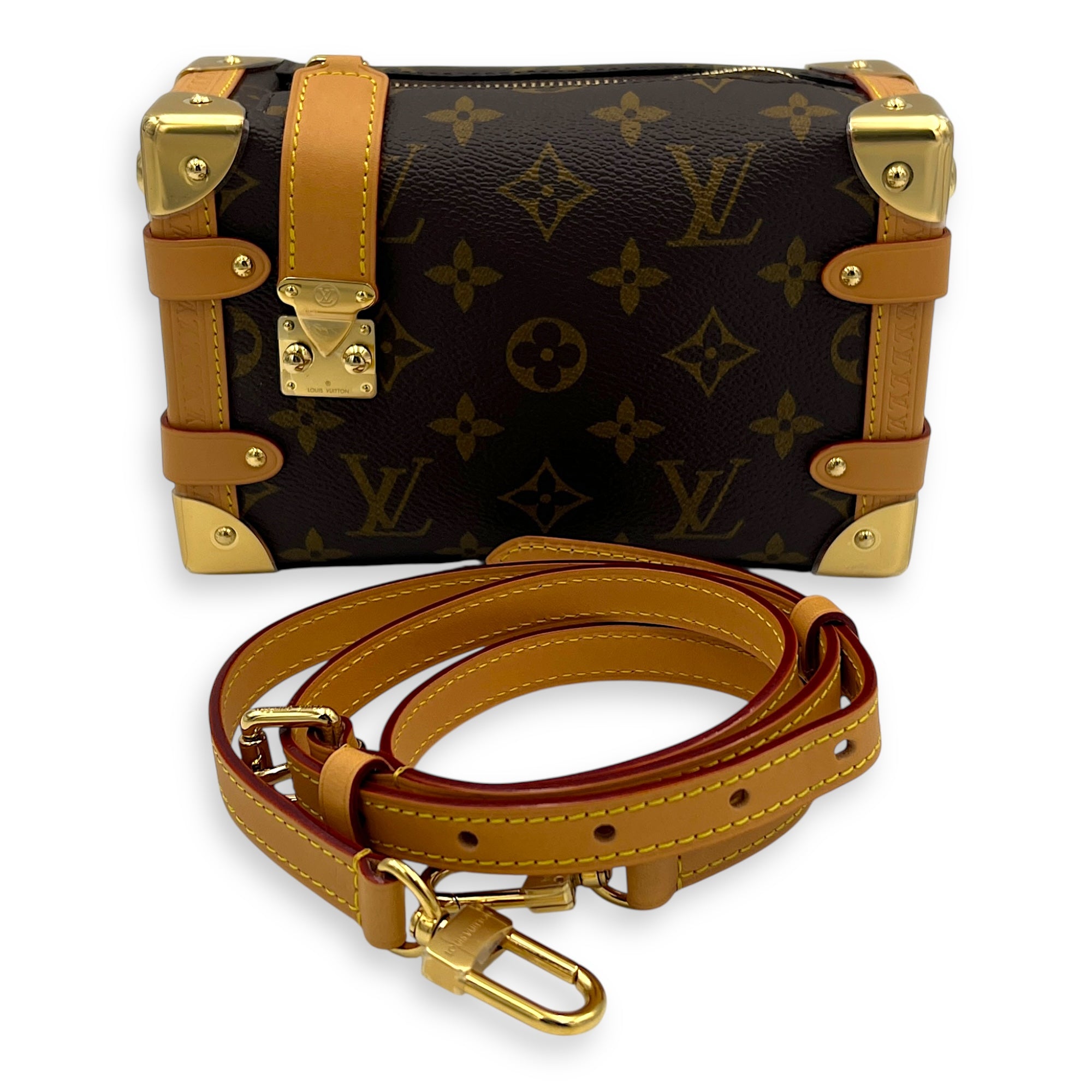 Side Trunk Shoulder Bag PM Brown in Coated Canvas, Gold hardware