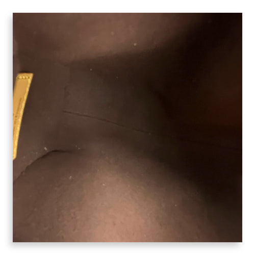 Side Trunk Shoulder Bag PM Brown in Coated Canvas, Gold hardware