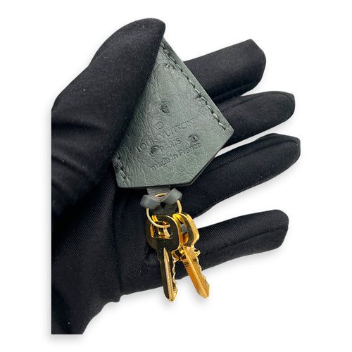 Alma Top Handle Bag PM Grey in Ostrich, Gold hardware