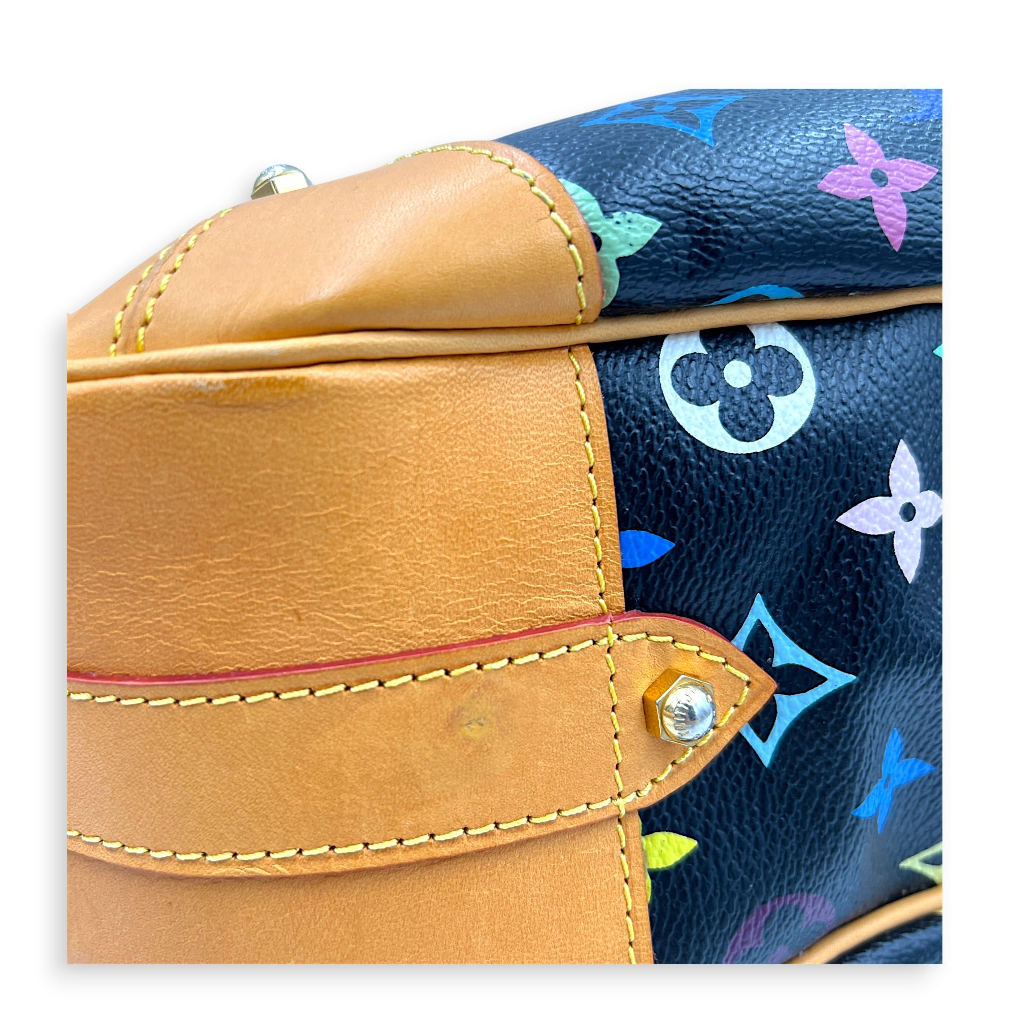 Greta Shoulder Bag x Murakami in Monogram Coated Canvas, Gold hardware