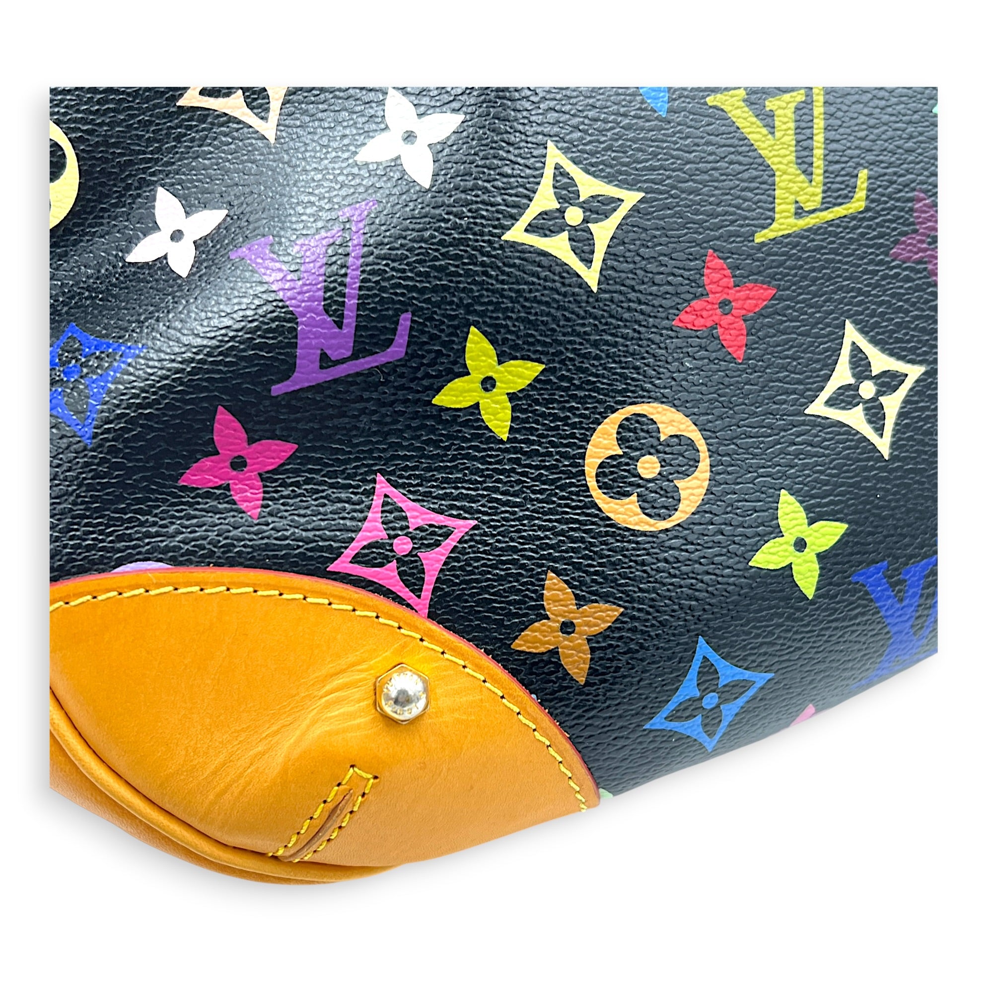 Greta Shoulder Bag x Murakami in Monogram Coated Canvas, Gold hardware