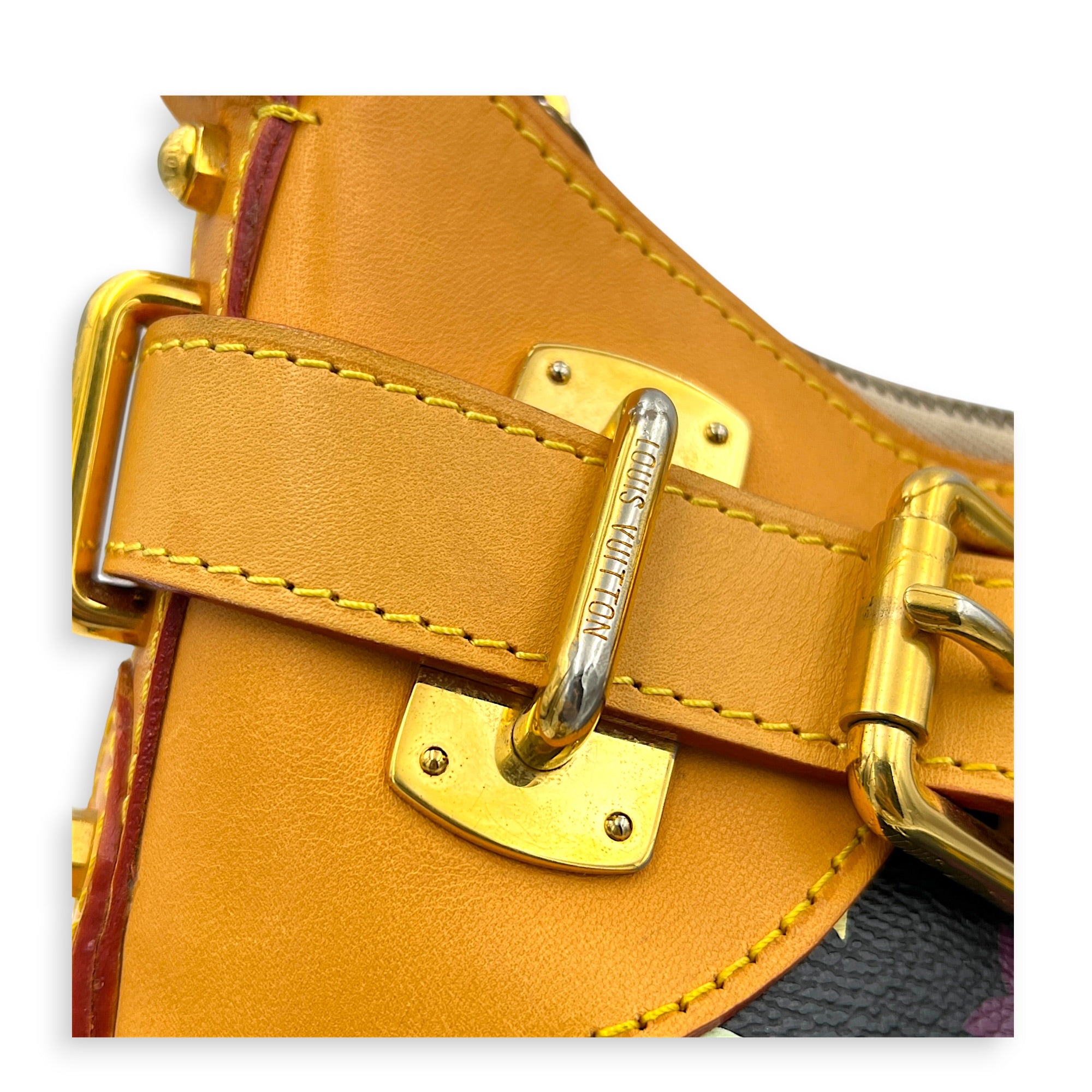 Greta Shoulder Bag x Murakami in Monogram Coated Canvas, Gold hardware