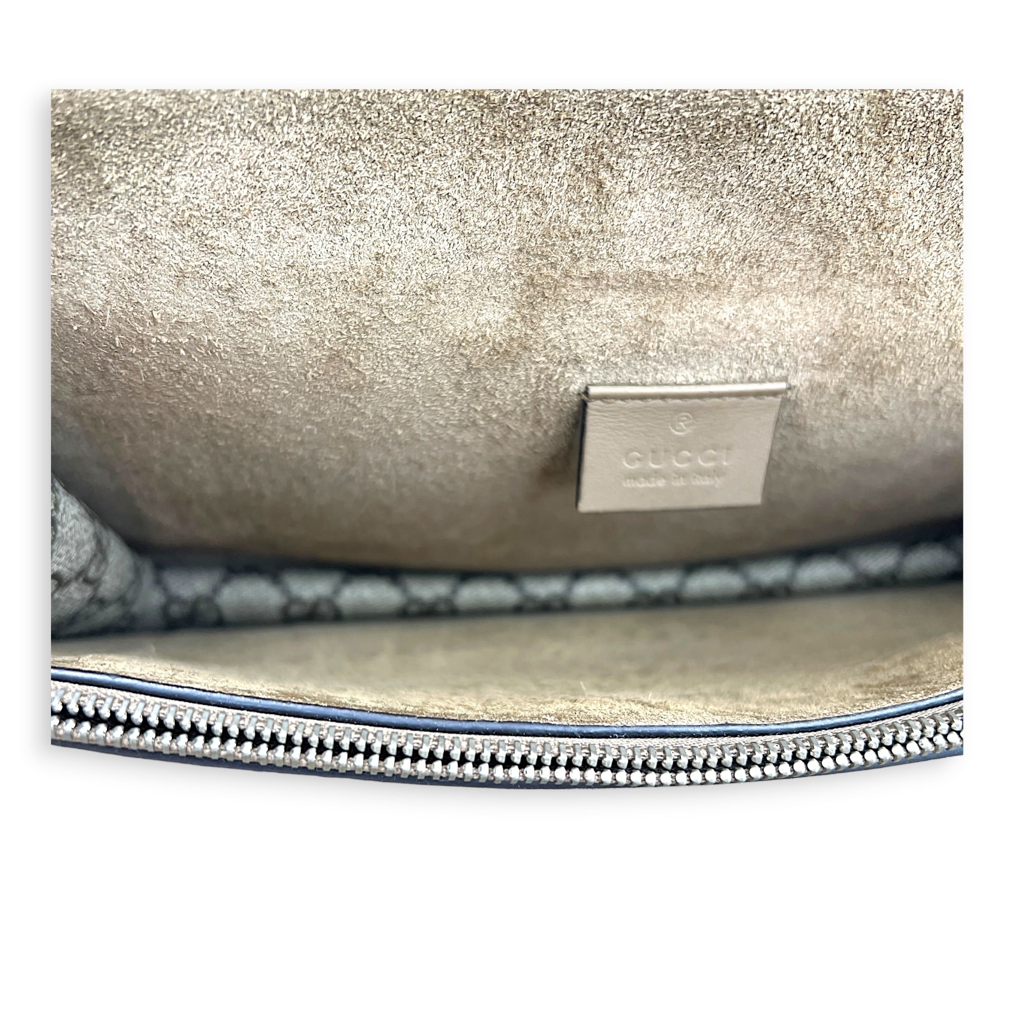 Dionysus Shoulder Bag Grey in Coated Canvas, Silver hardware