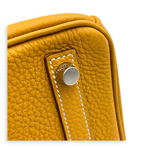 Birkin 25 Natural Sable Top Handle Bag in Togo, Palladium hardware