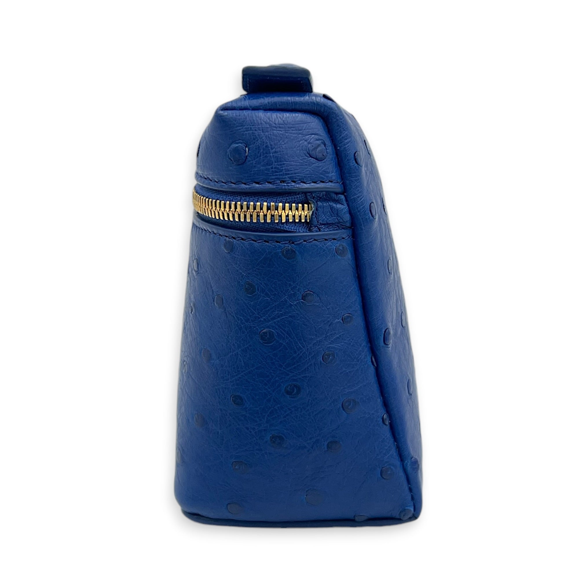 Extra Pocket L19 Blue Shoulder Bag in Ostrich, Gold hardware