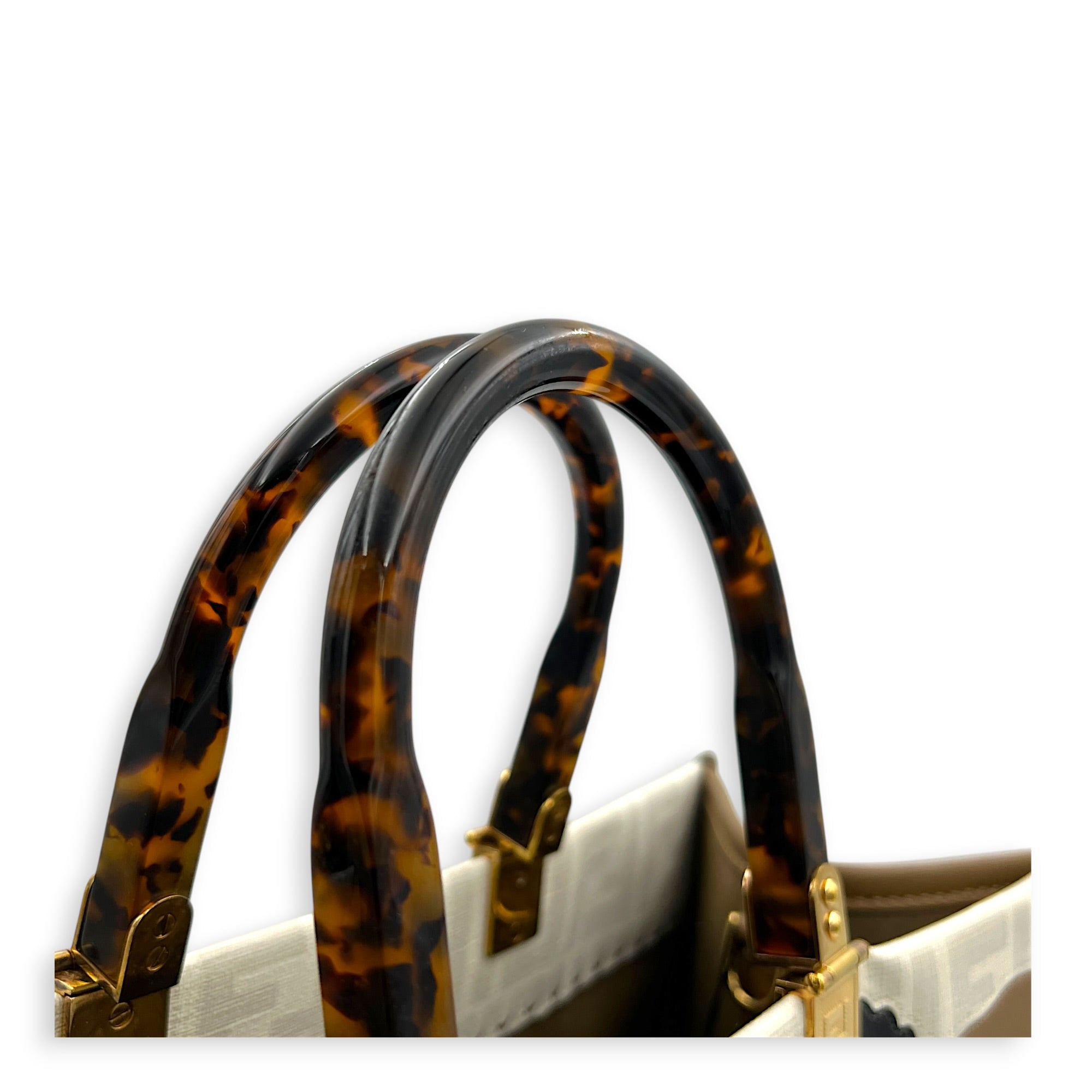 Sunshine x Antonio Lopez Tote Bag in Coated Canvas, Gold hardware