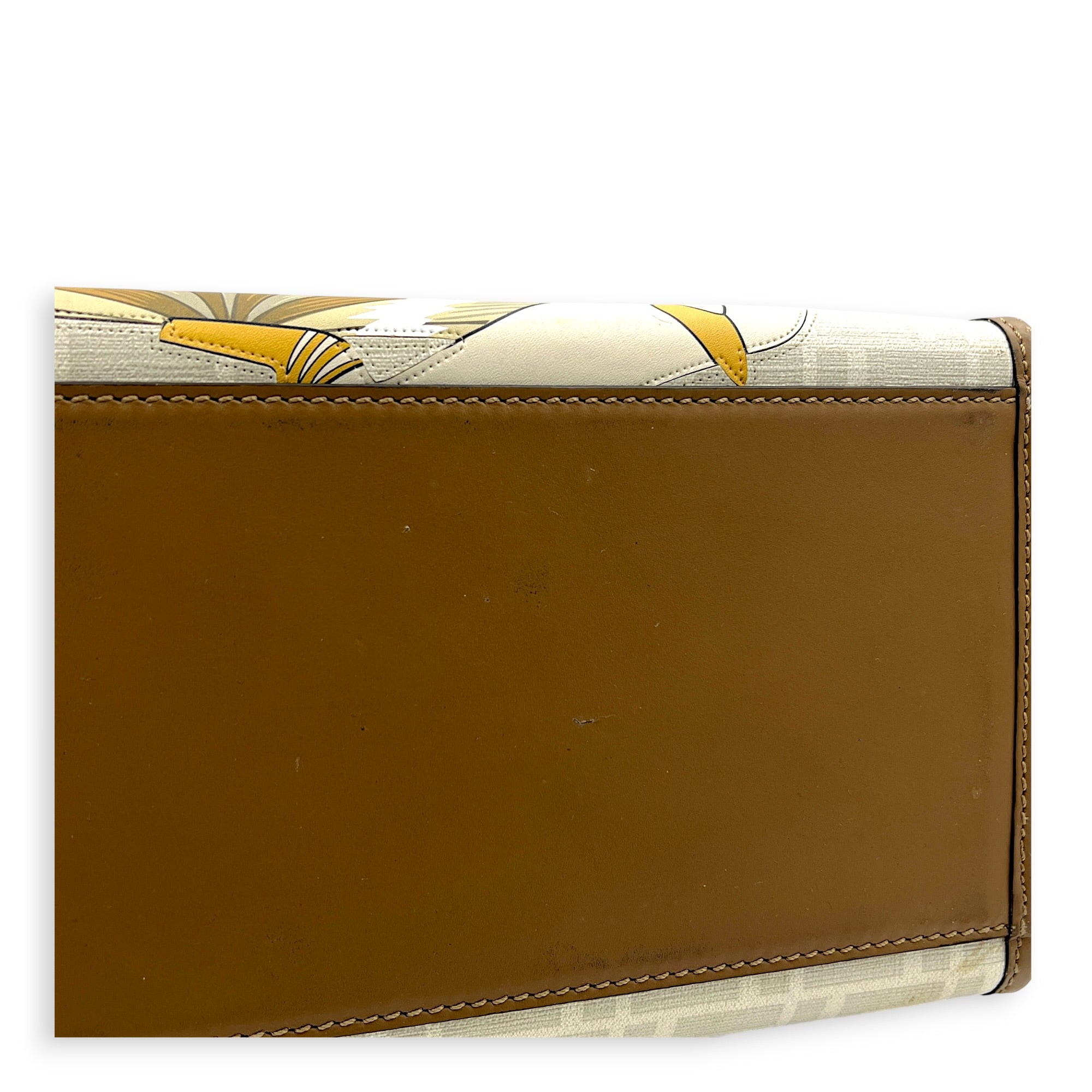 Sunshine x Antonio Lopez Tote Bag in Coated Canvas, Gold hardware