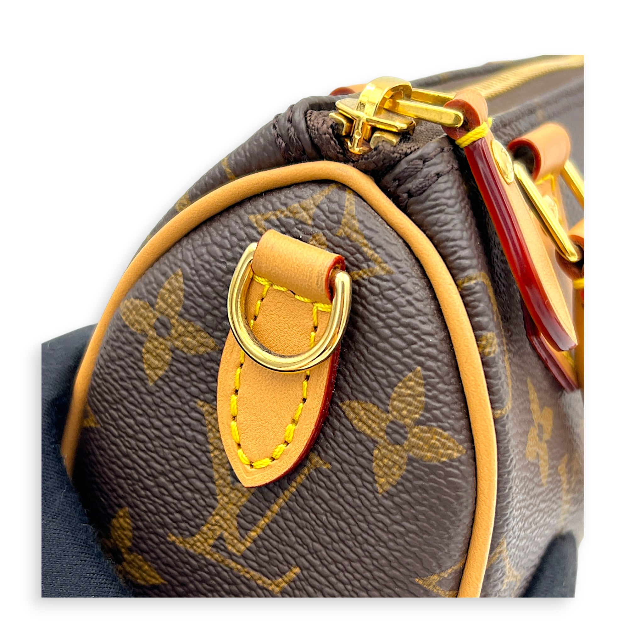 Speedy Top Handle Bag Nano Brown in Coated Canvas, Gold hardware