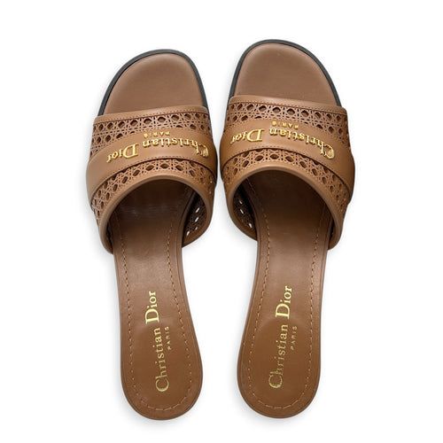 D-Lane 39 Brown Sandals in Calfskin