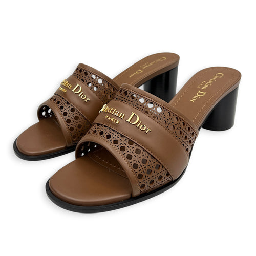 D-Lane 39 Brown Sandals in Calfskin