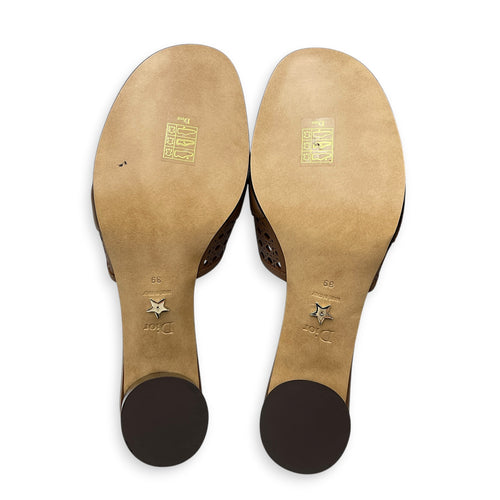 D-Lane 39 Brown Sandals in Calfskin