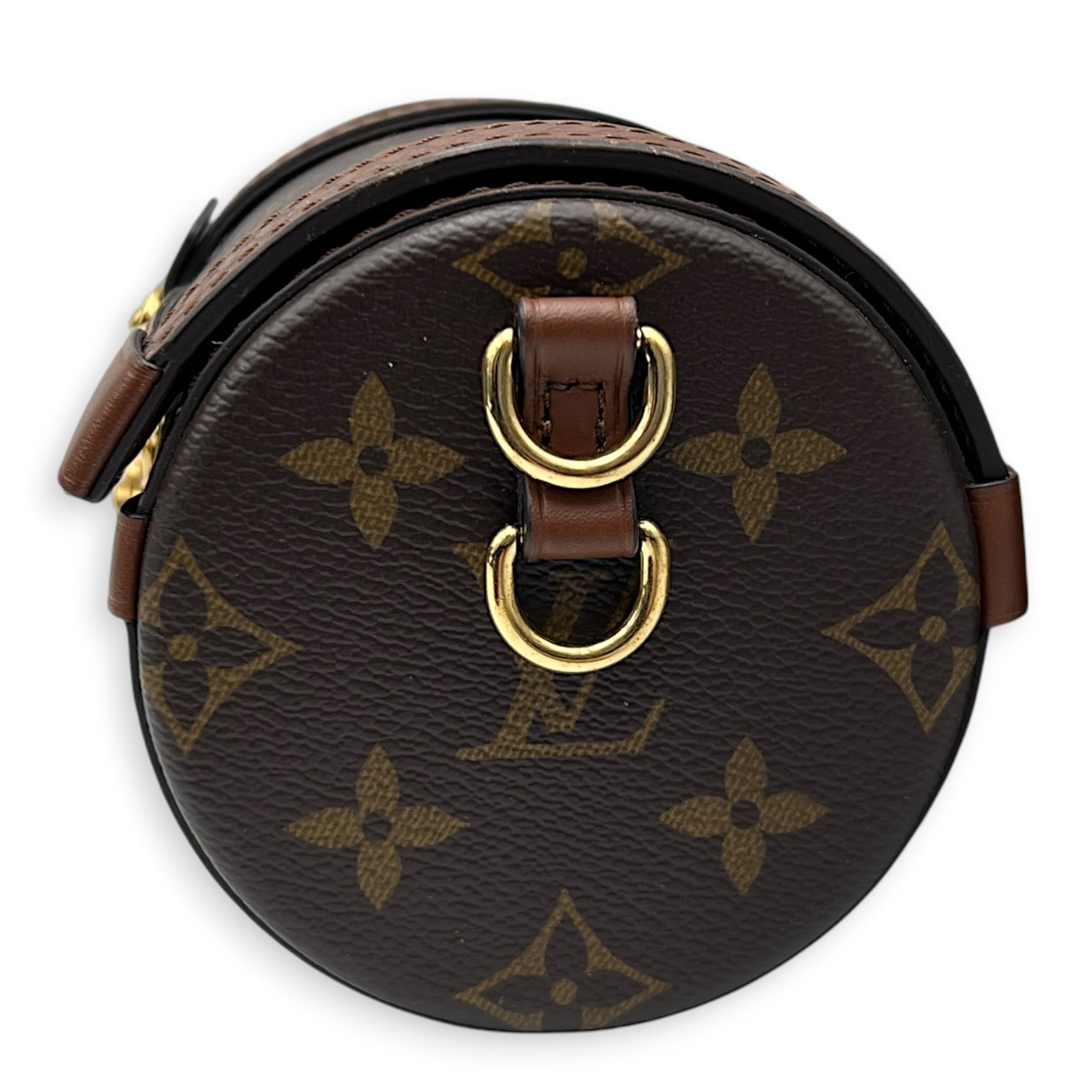 Papillon Trunk  Crossbody Bag Brown in Monogram Coated Canvas, Gold hardware