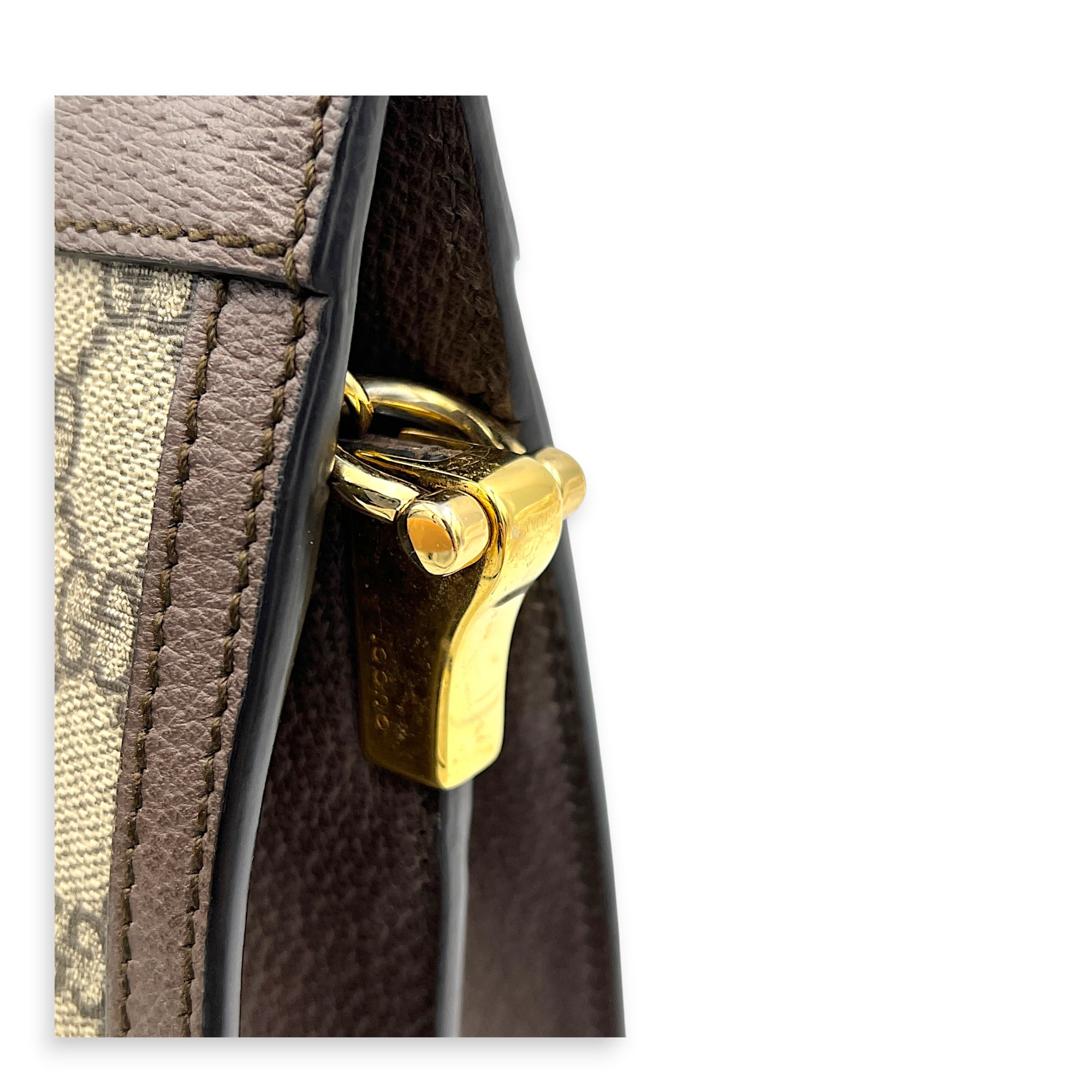 Ophidia Brown Crossbody Bag in Coated Canvas, Gold hardware