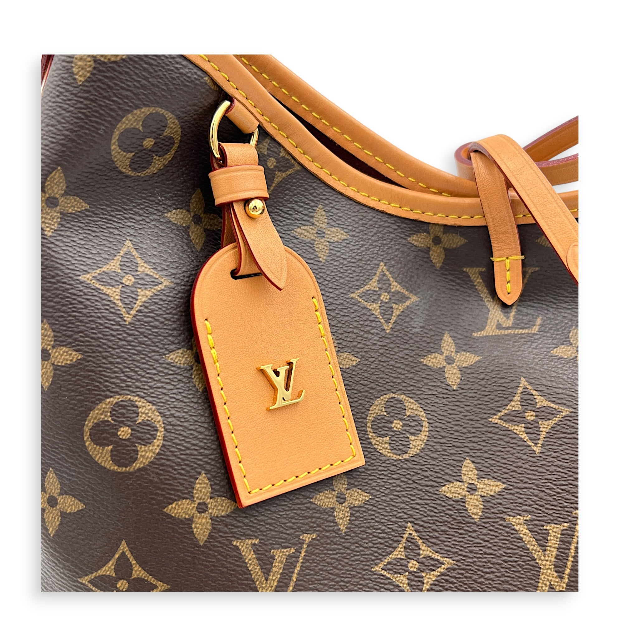 Carryall PM Brown Shoulder Bag in Monogram Coated Canvas, Gold hardware