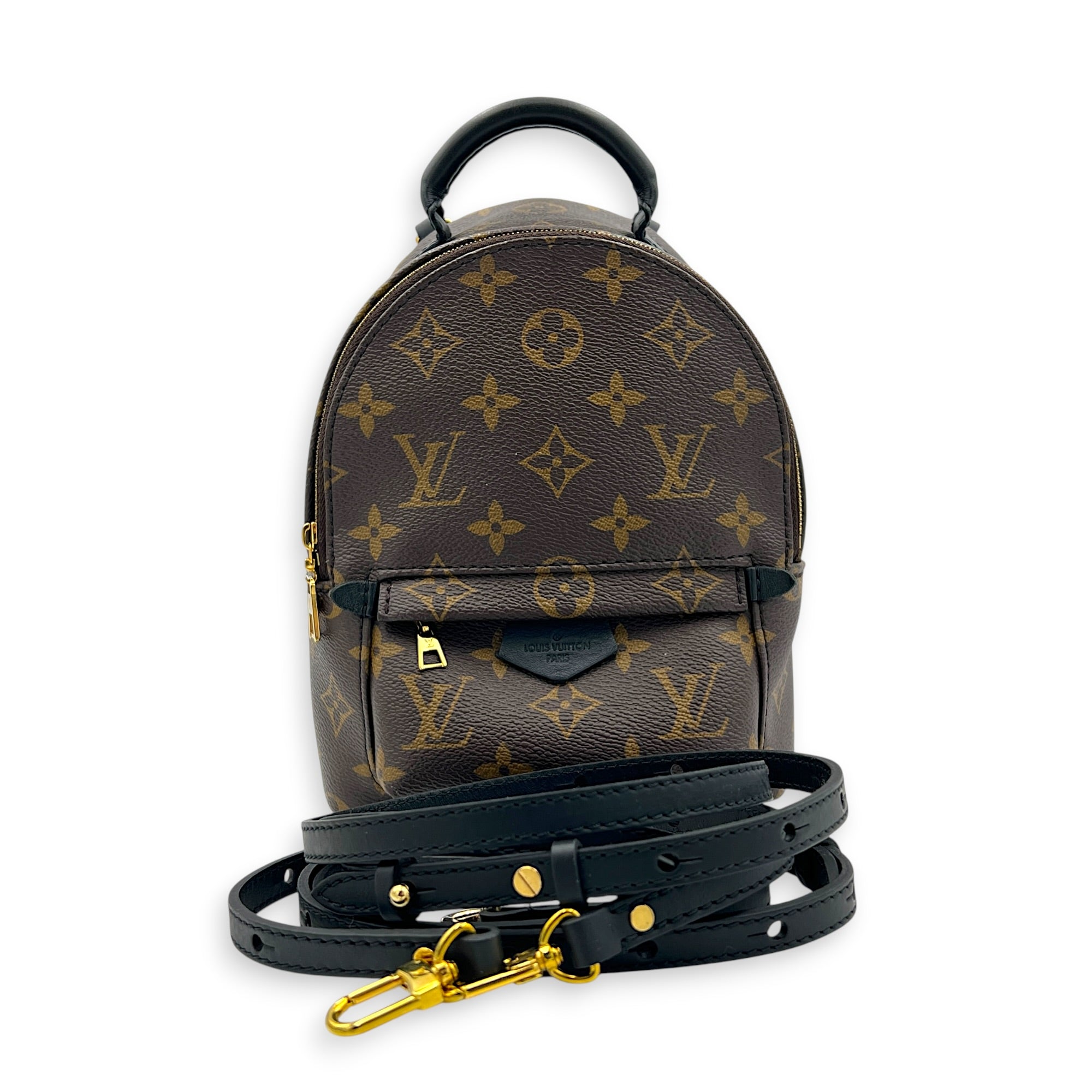 Palm Springs Mini Brown Backpack in Monogram Coated Canvas, Gold hardware