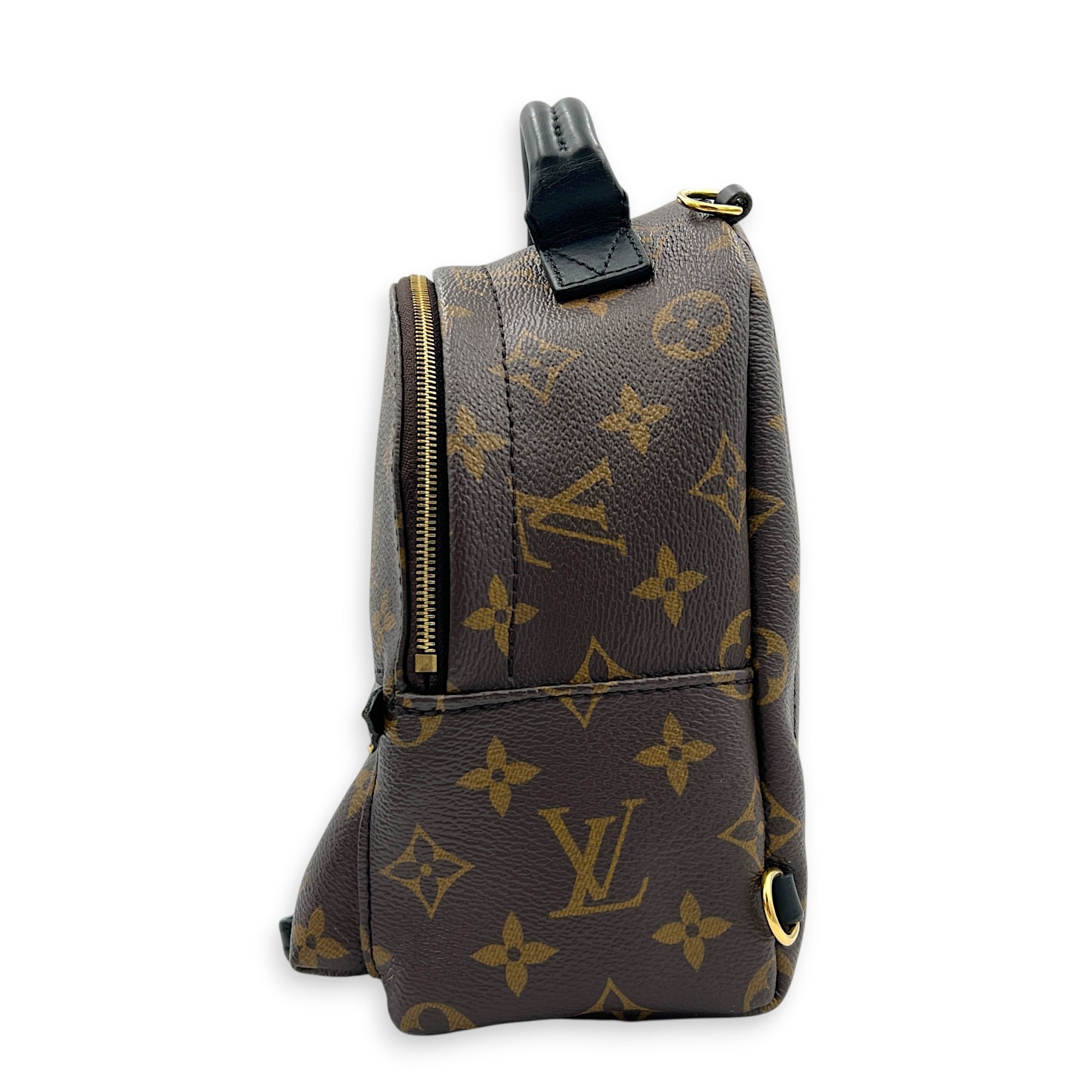 Palm Springs Mini Brown Backpack in Monogram Coated Canvas, Gold hardware