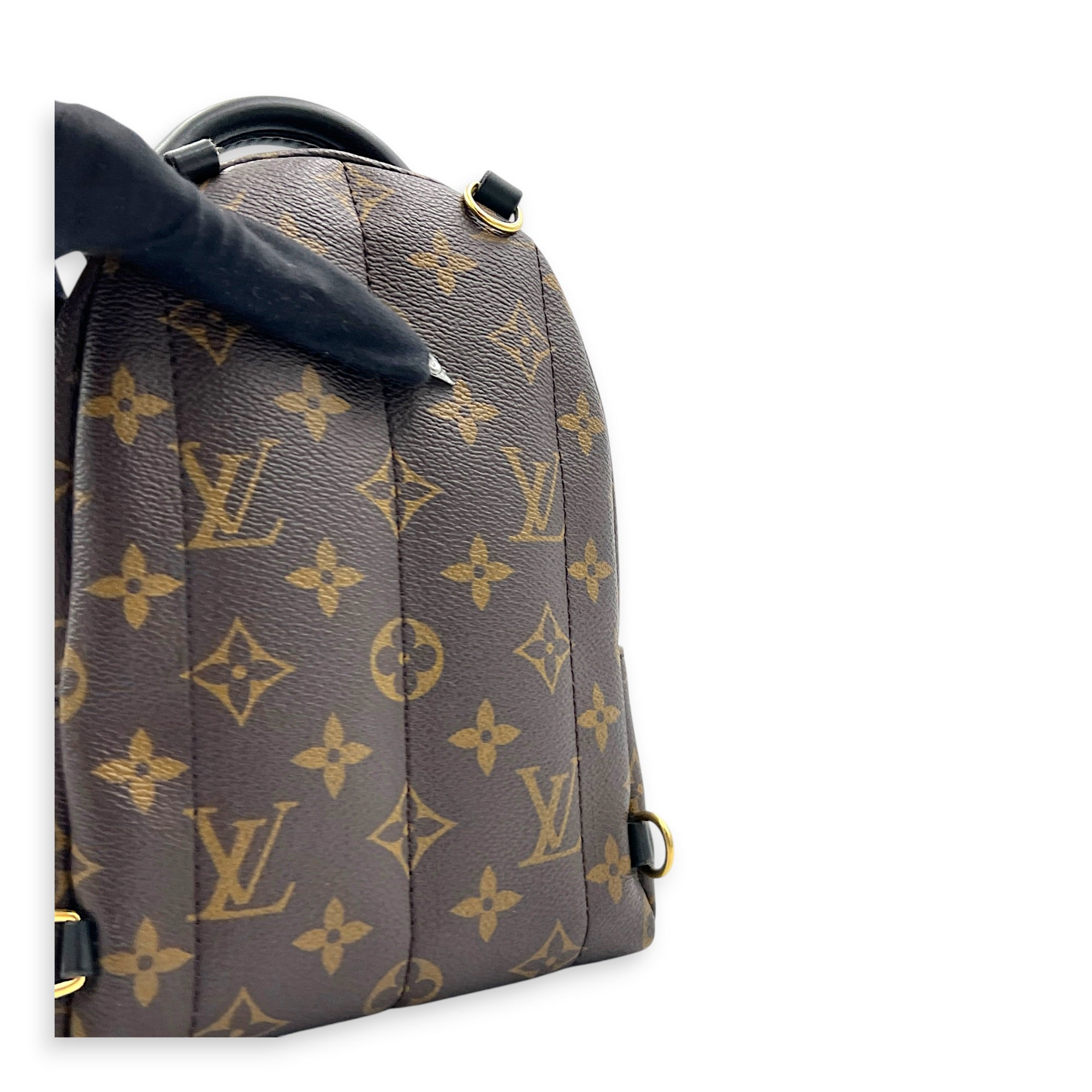 Palm Springs Mini Brown Backpack in Monogram Coated Canvas, Gold hardware