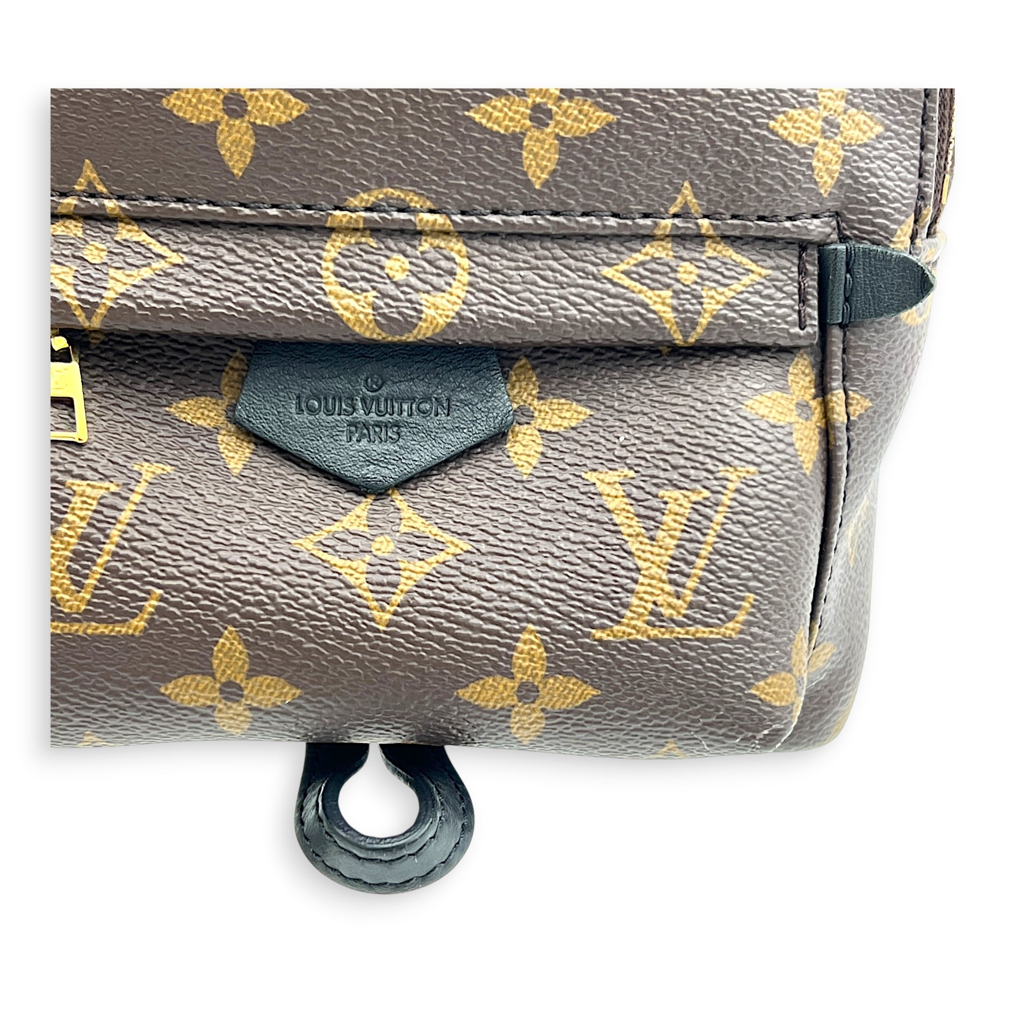 Palm Springs Mini Brown Backpack in Monogram Coated Canvas, Gold hardware