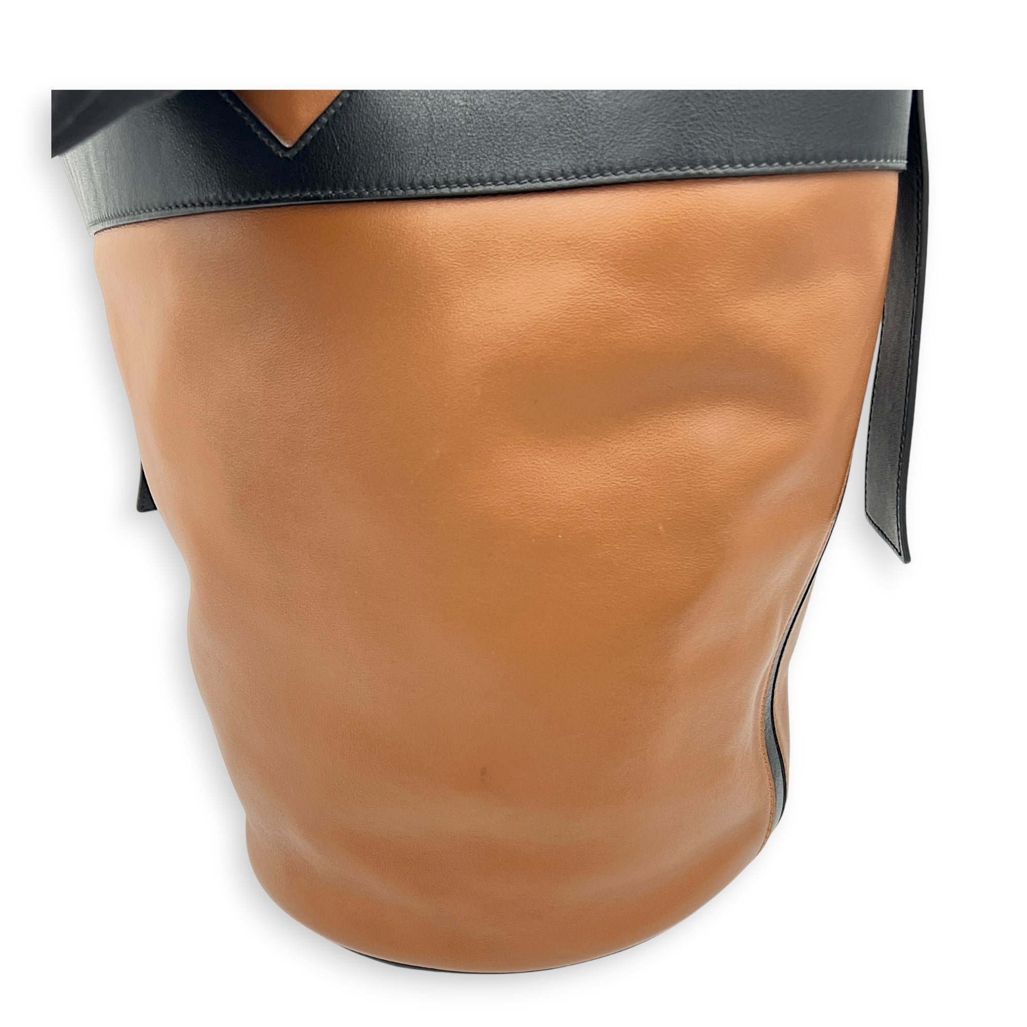Grace Lux Tote Bag Multi-colour in Calfskin, Silver hardware
