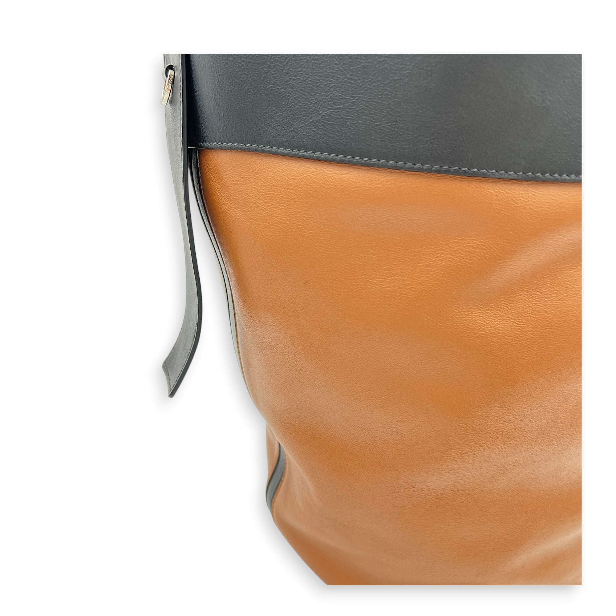 Grace Lux Tote Bag Multi-colour in Calfskin, Silver hardware