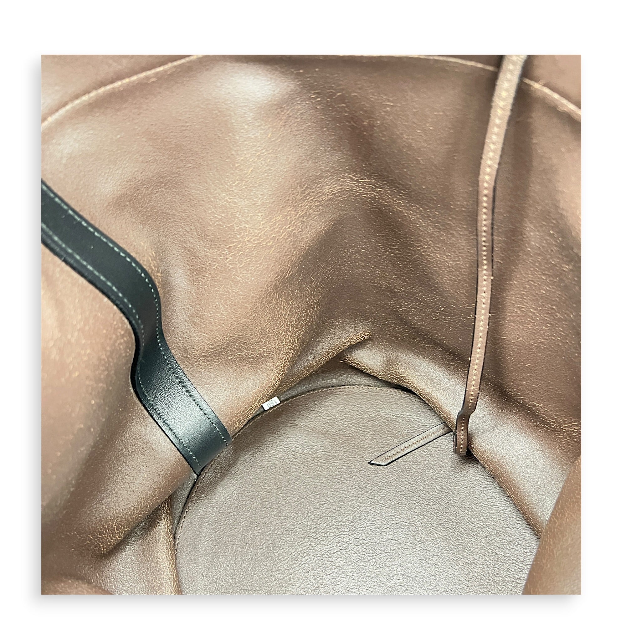 Grace Lux Tote Bag Multi-colour in Calfskin, Silver hardware