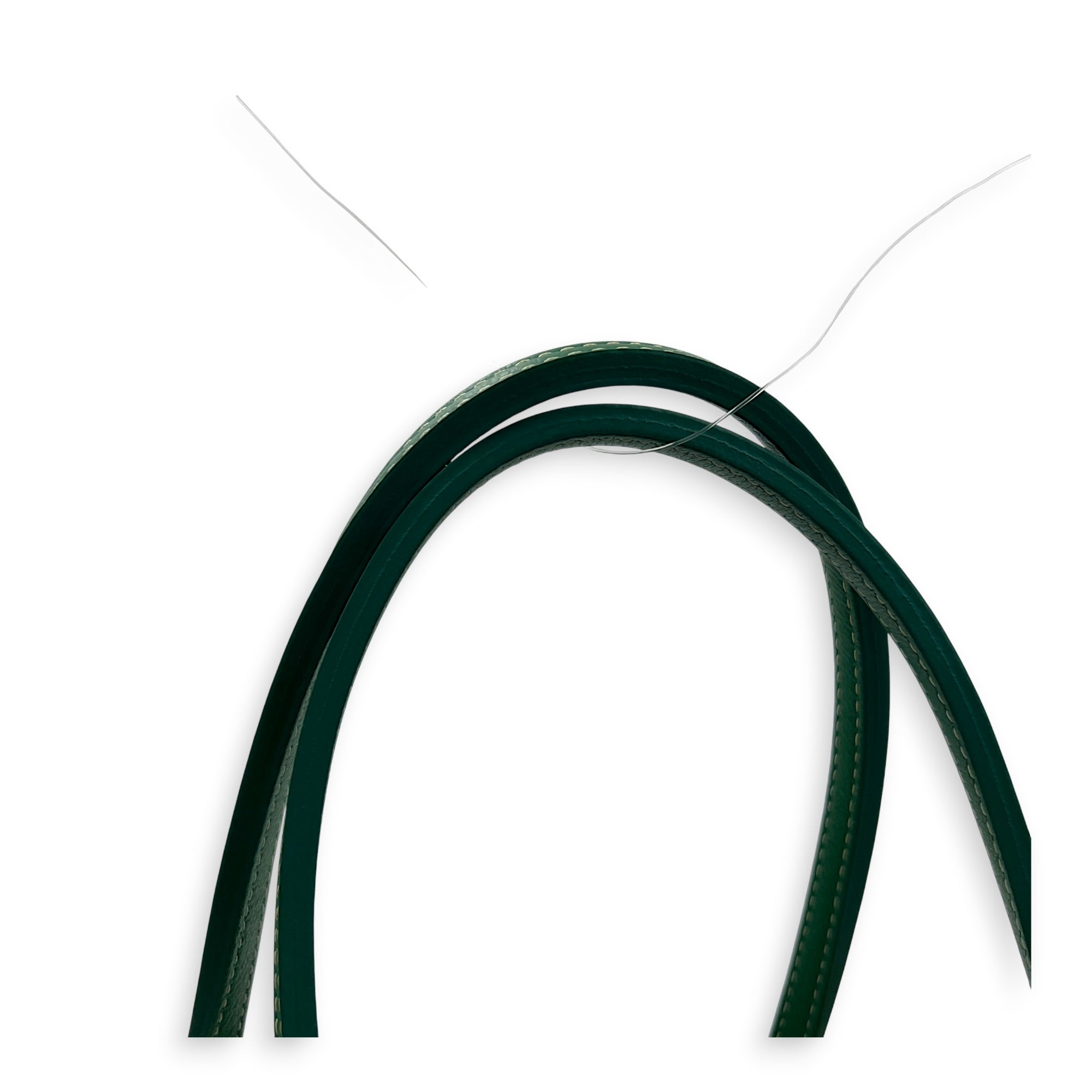 Saint Louis Tote Bag PM Green in Coated Canvas, Silver hardware