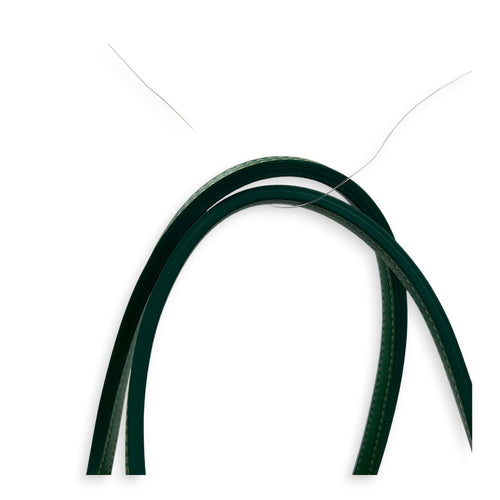 Saint Louis Tote Bag PM Green in Coated Canvas, Silver hardware