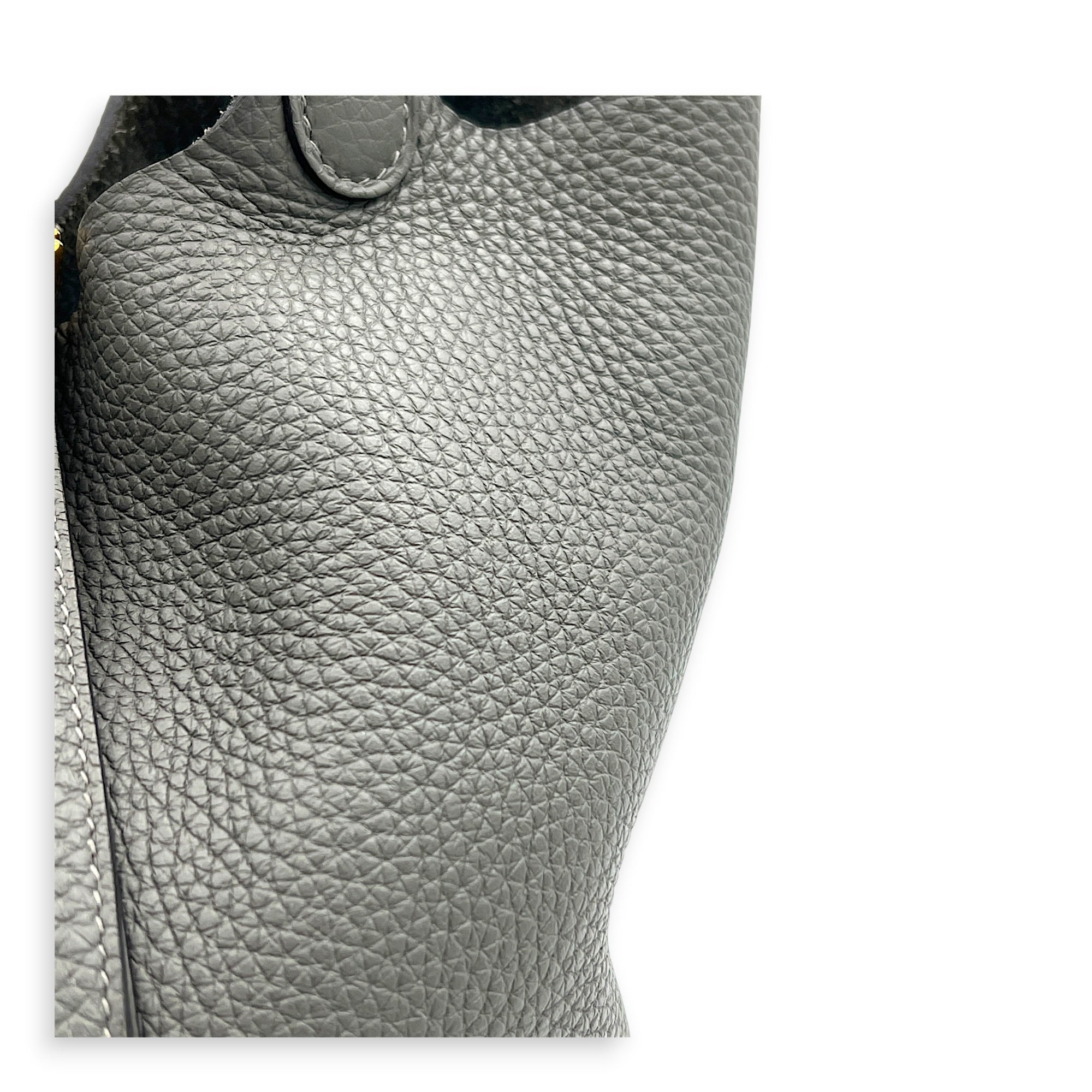 Picotin 18 Gris Meyer Top Handle Bag in Clemence, Gold hardware